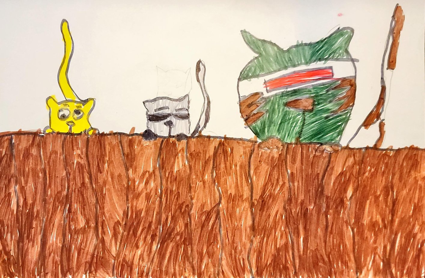 cats on fence.jpg