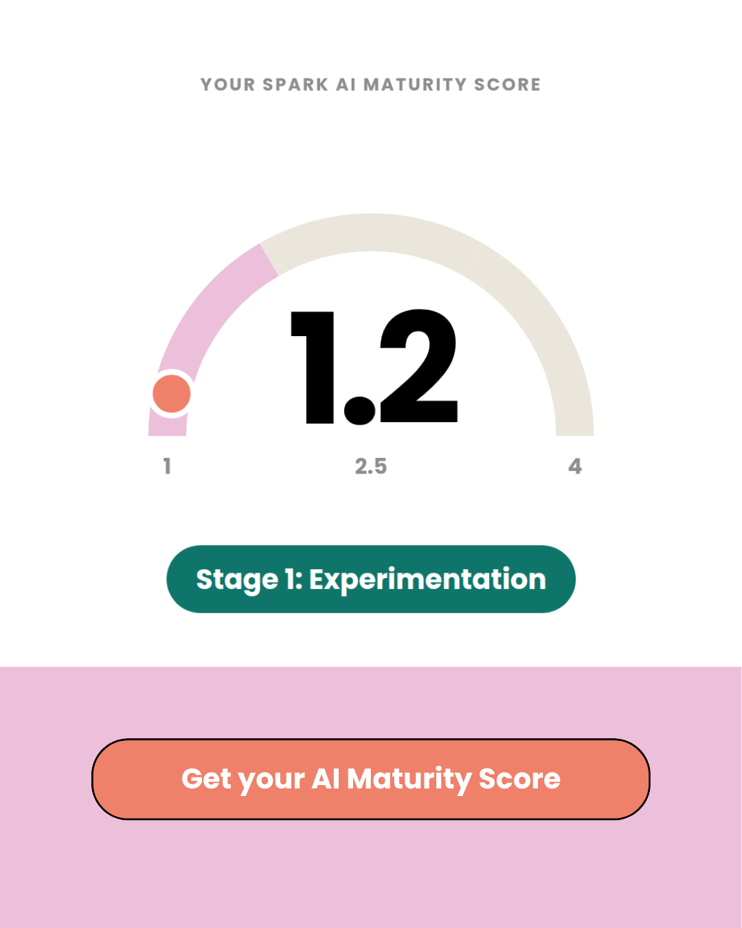 Why did we build the Spark AI Maturity Score?