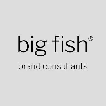 Big Fish brand consultants logo on a gray background.