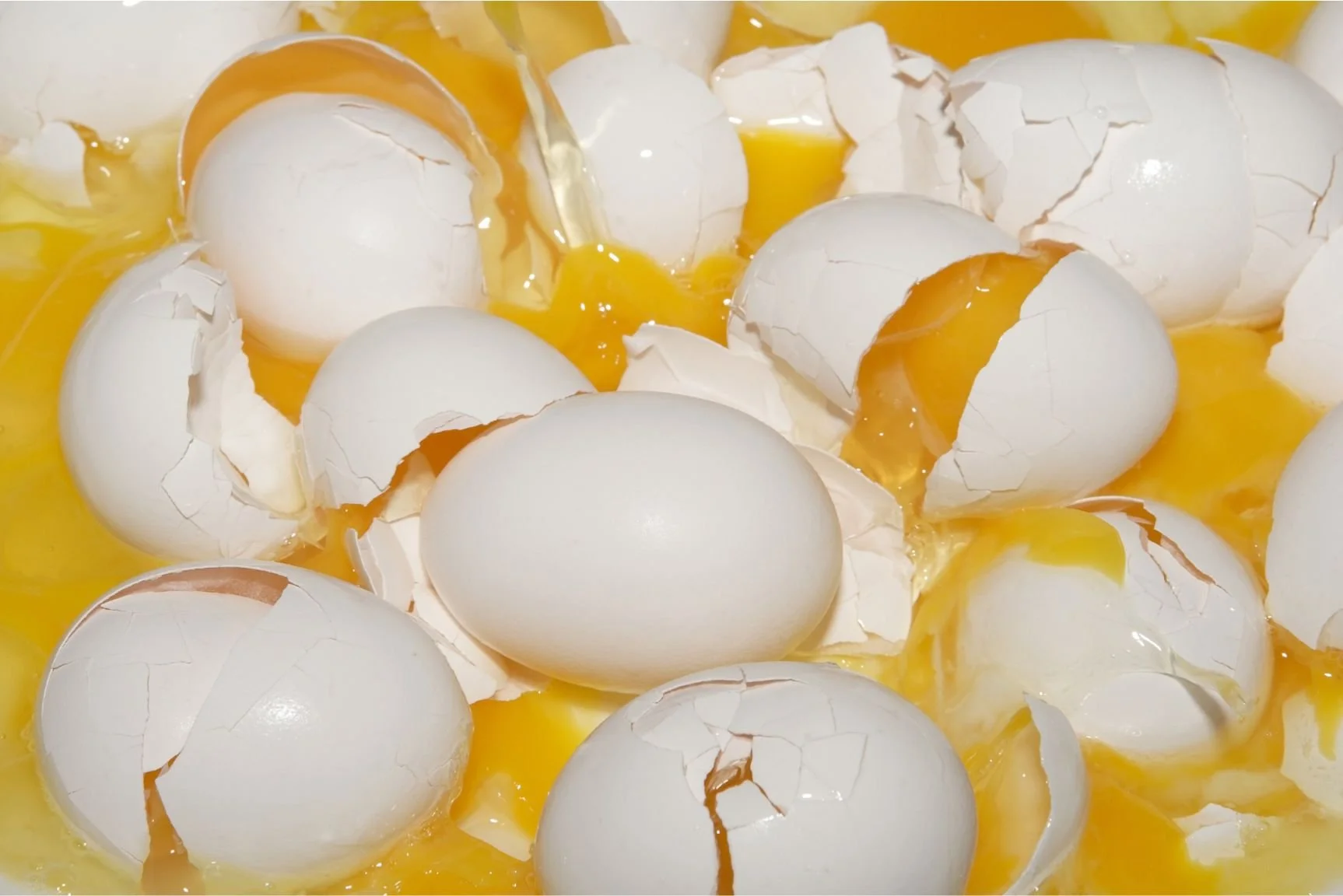 A bunch of broken eggs.