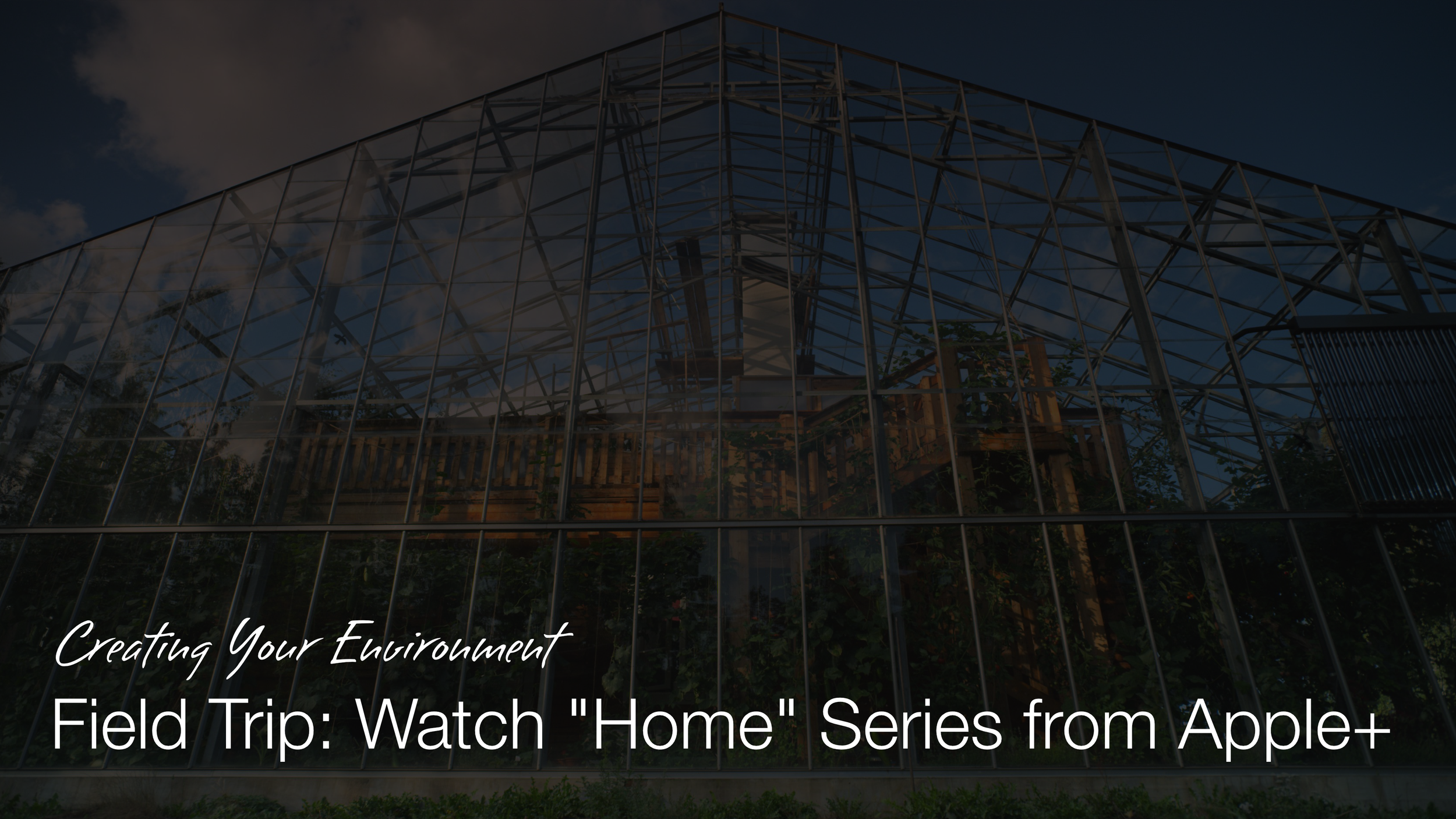 A modern greenhouse with a metal frame and glass panels, with plants visible inside at dusk or dawn under a cloudy sky.