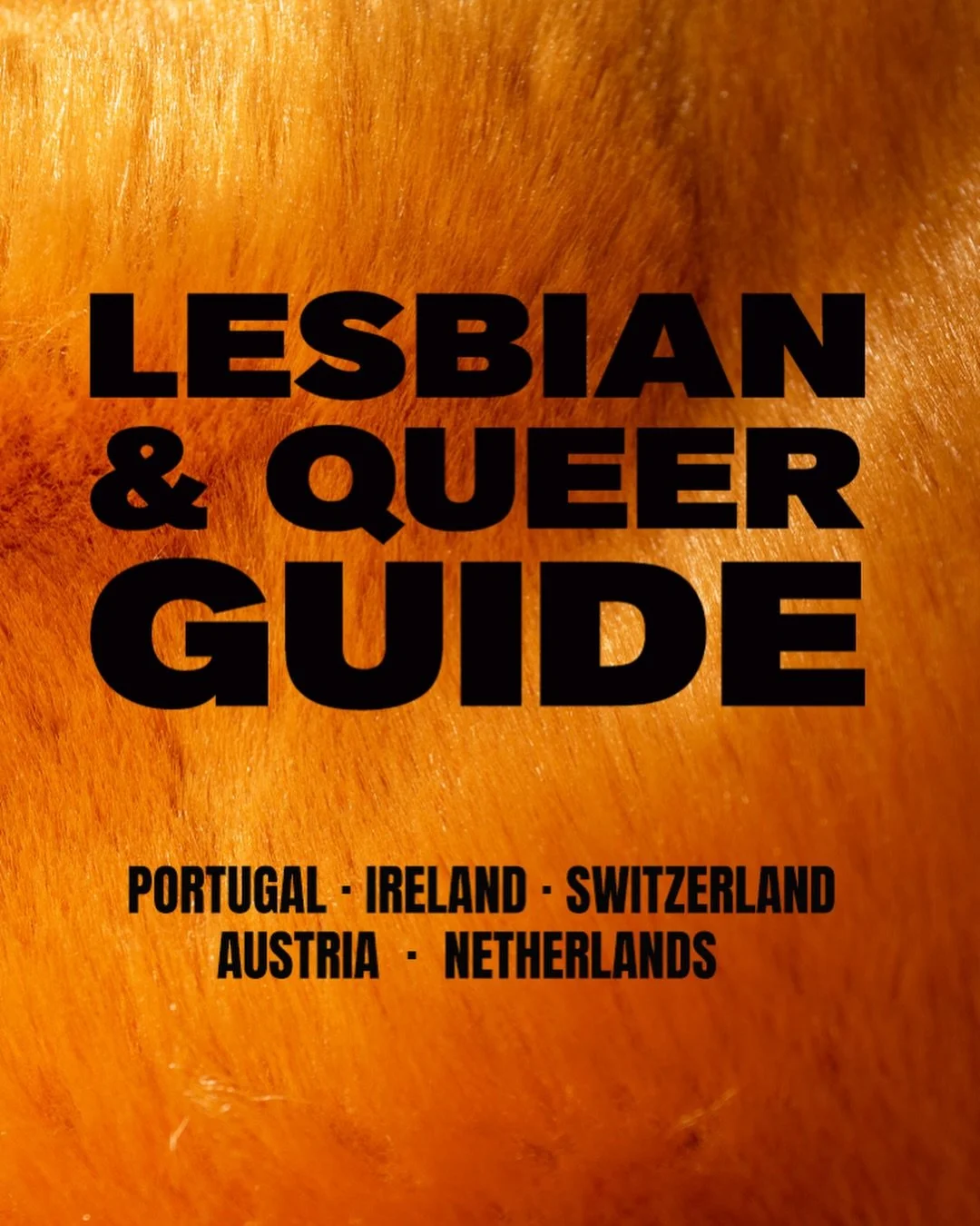 LESBIAN QUEER GUIDE TO: PORTUGAL, IRELAND, SWITZERLAND, NETHERLANDS, AUSTRIA

When I did my Lesbian Tour Europe I decided not to do any research about lesbian spaces. I only had one question: Where are the lesbians? I wanted to get the first-hand fee