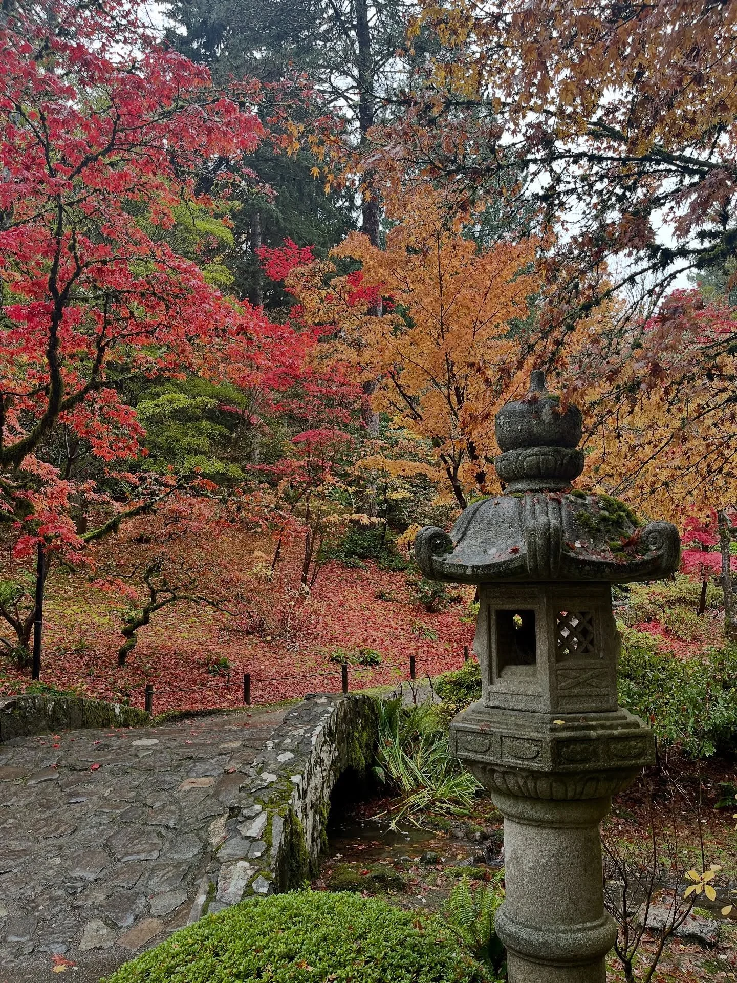 Did you know every first Thursday of the month the Japanese Garden is free?!? Check it out.