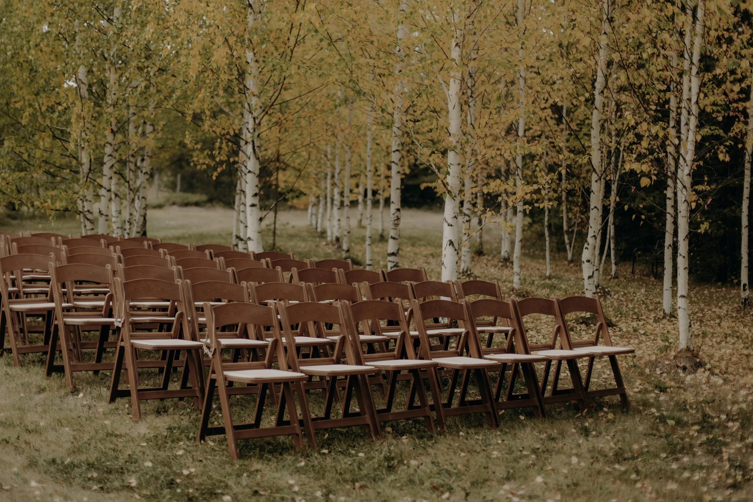 Multiple wooden folding chairs arranged outdoors on grass with yellow autumn leaves on trees in the background.