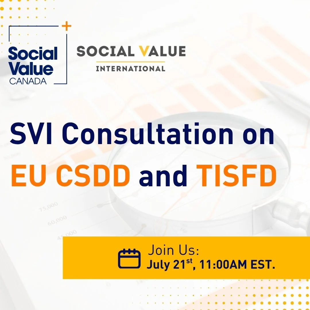 SVI Consultation on EU CSDD and TISFD