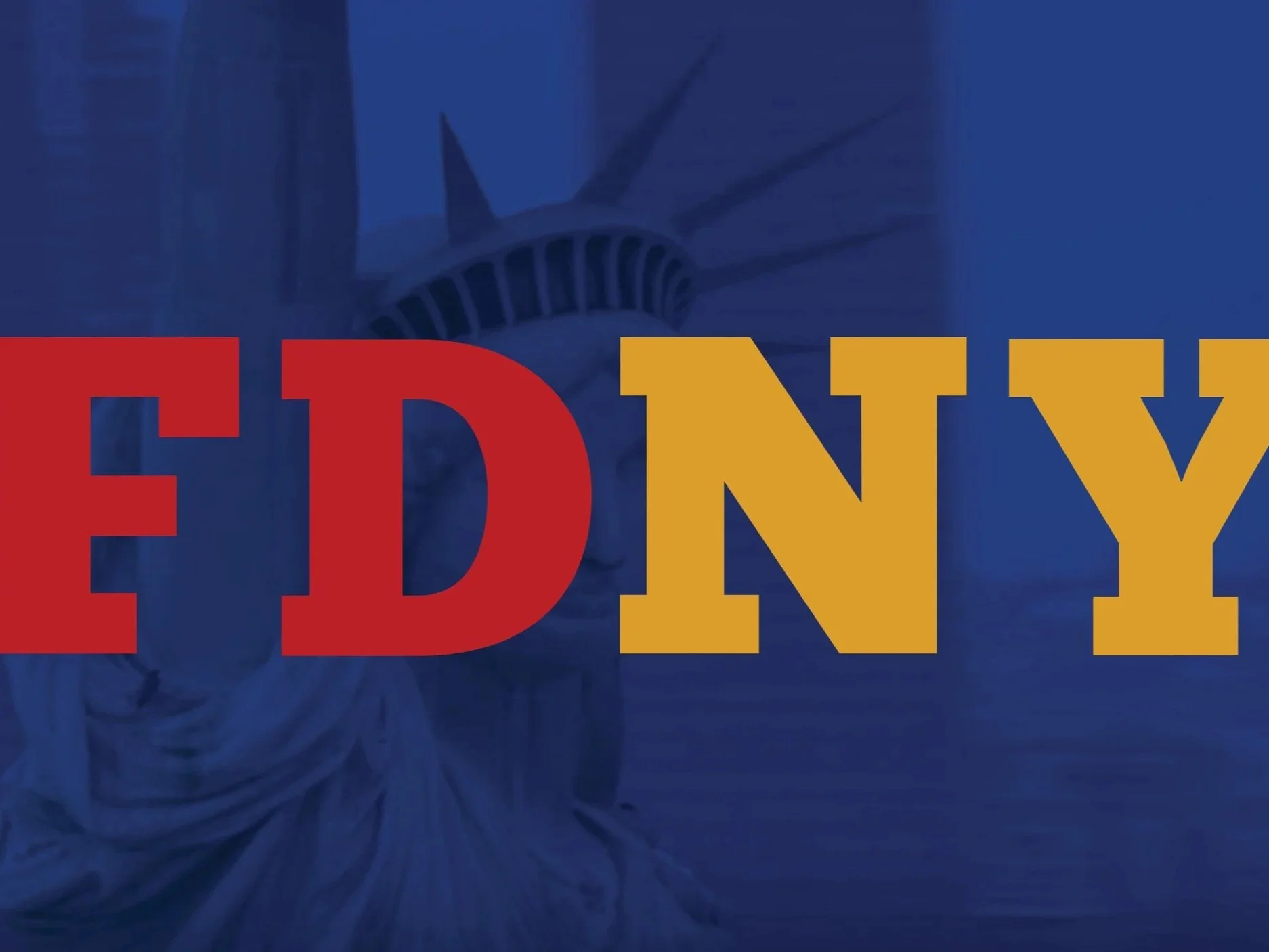 New York City Government