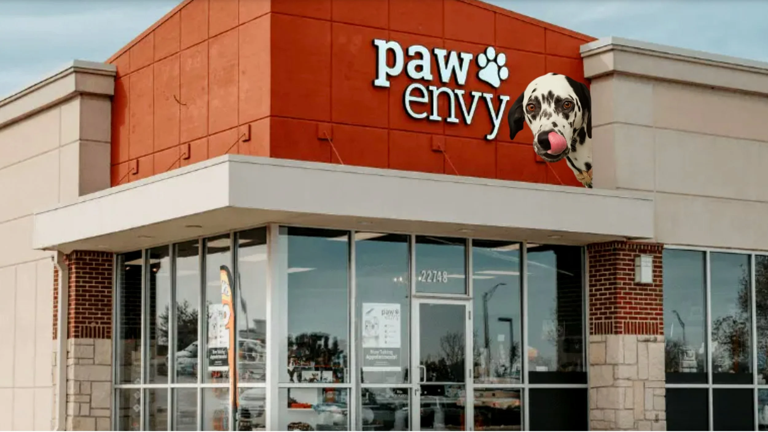 paw envy6.jpg
