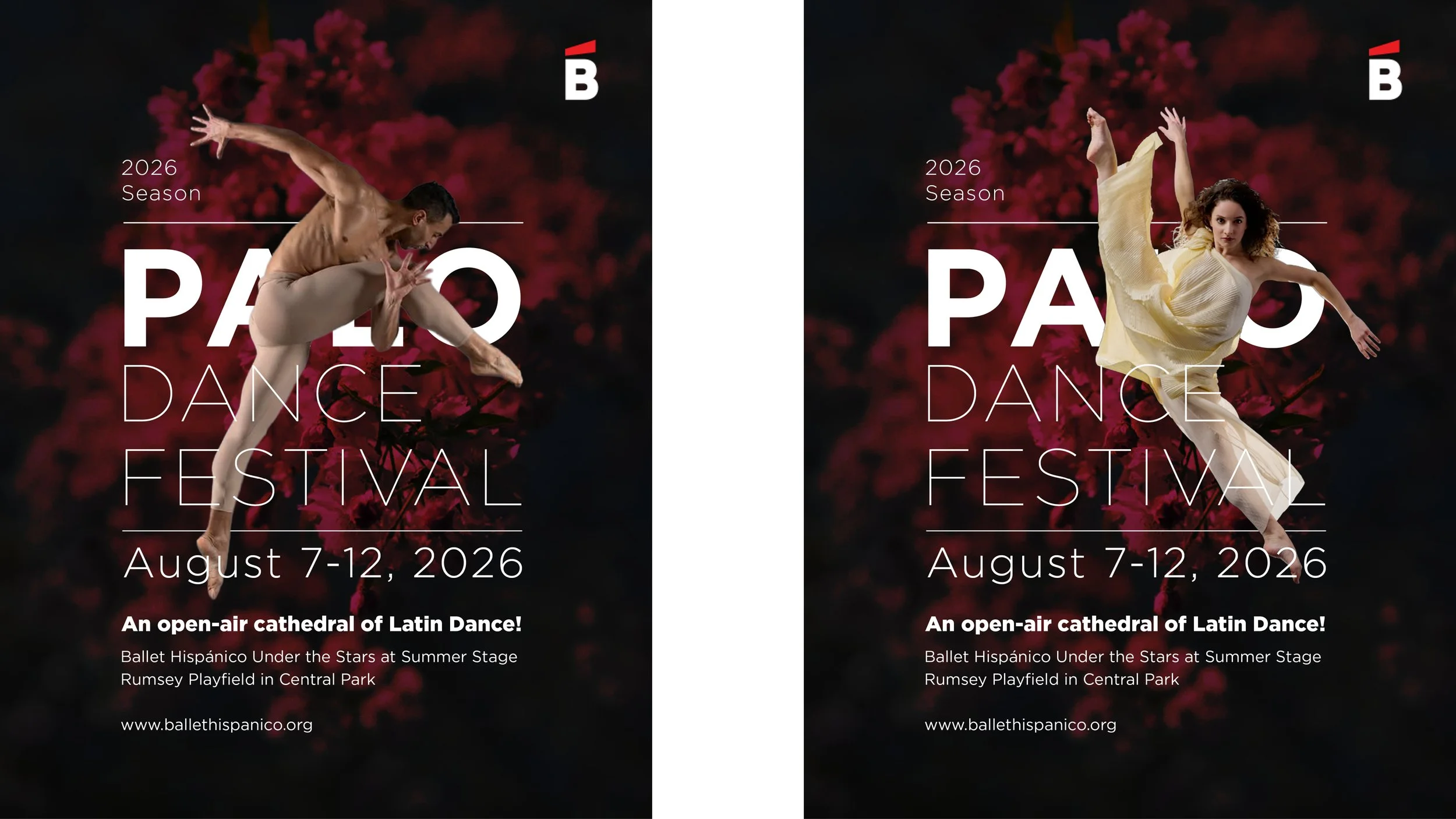 ballet_hispanico_spring3.jpg