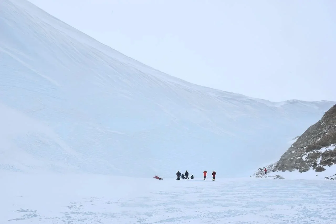 My South Pole     Olga Mallo  