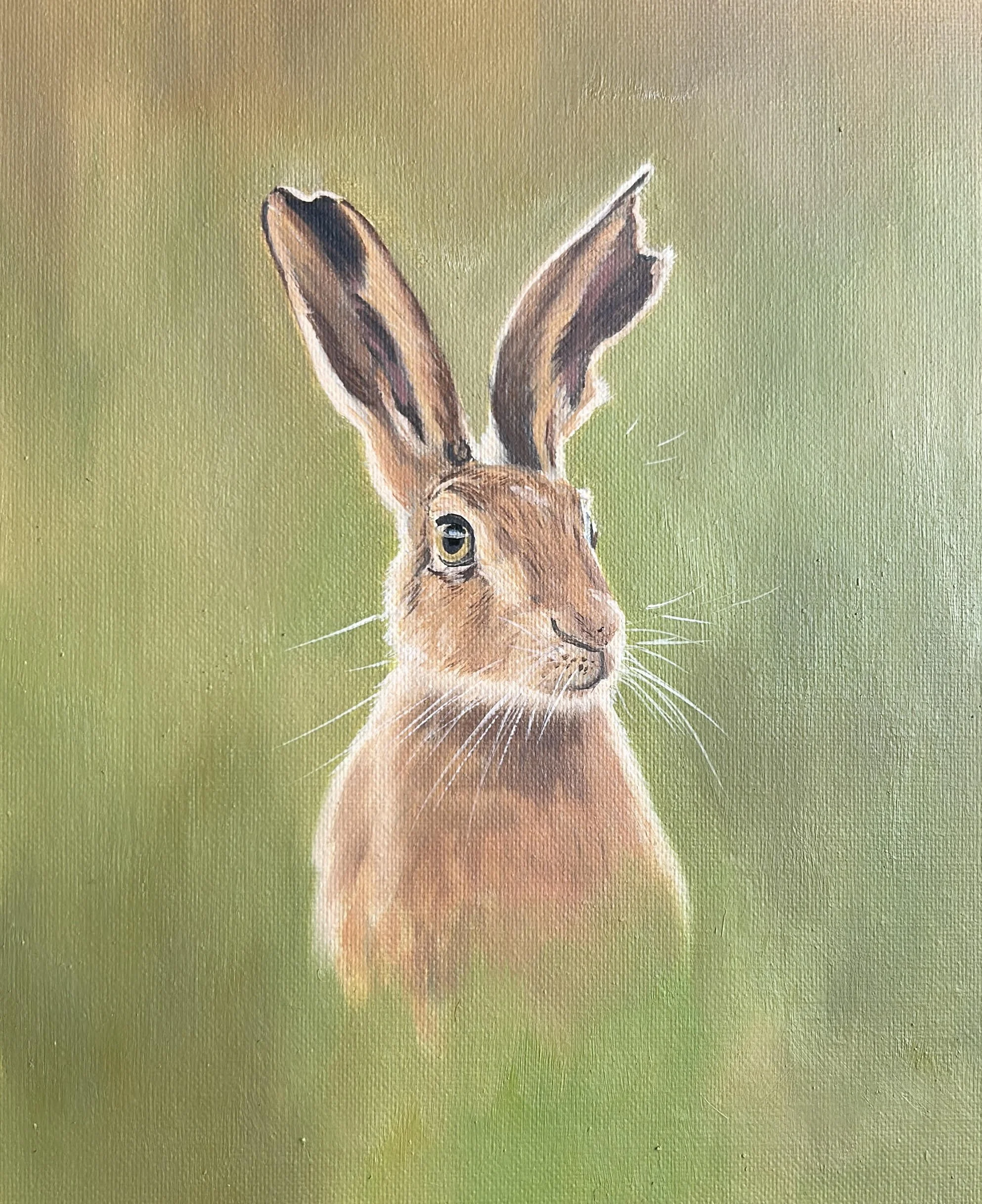 Spring Hare