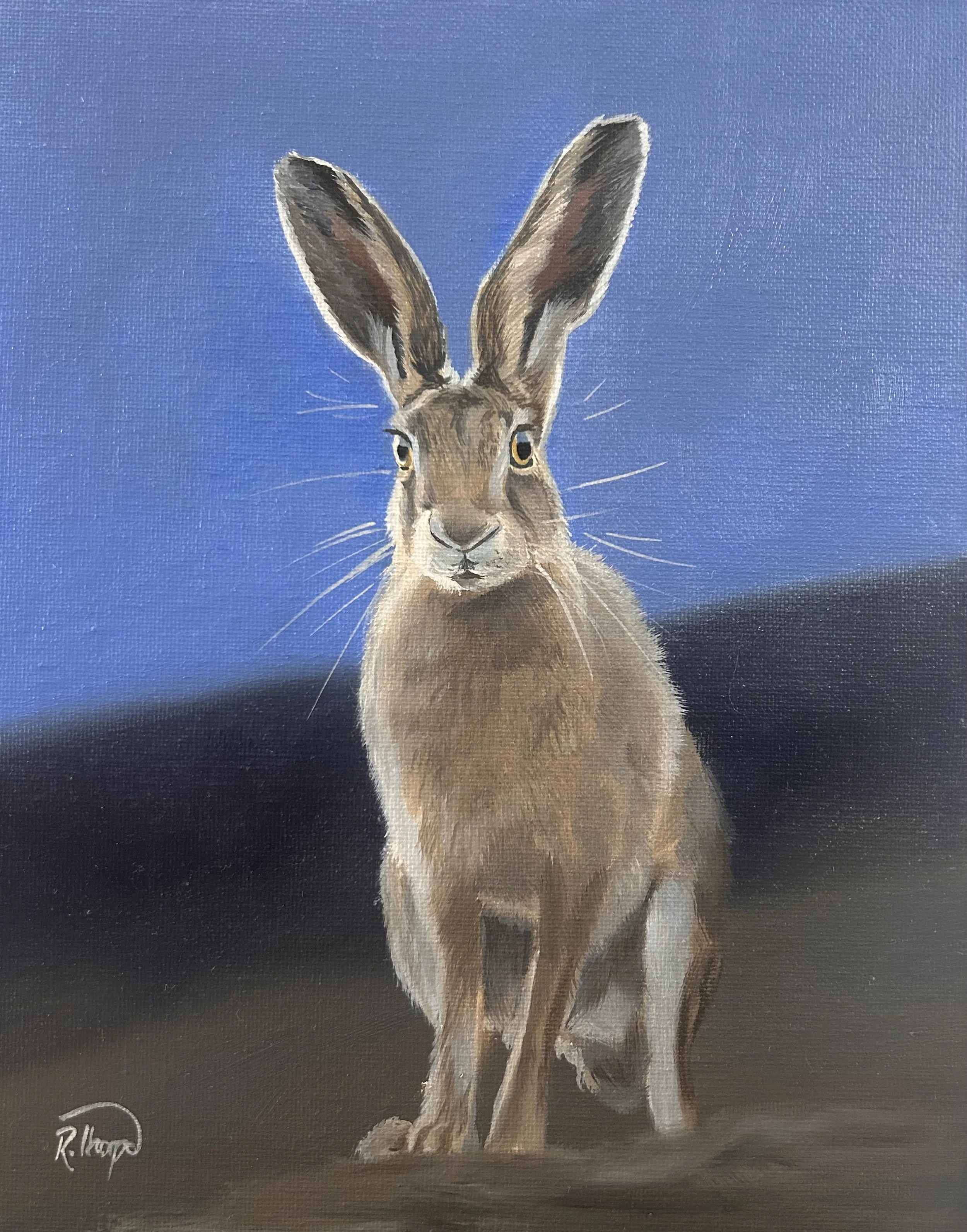 Hare at Twilight