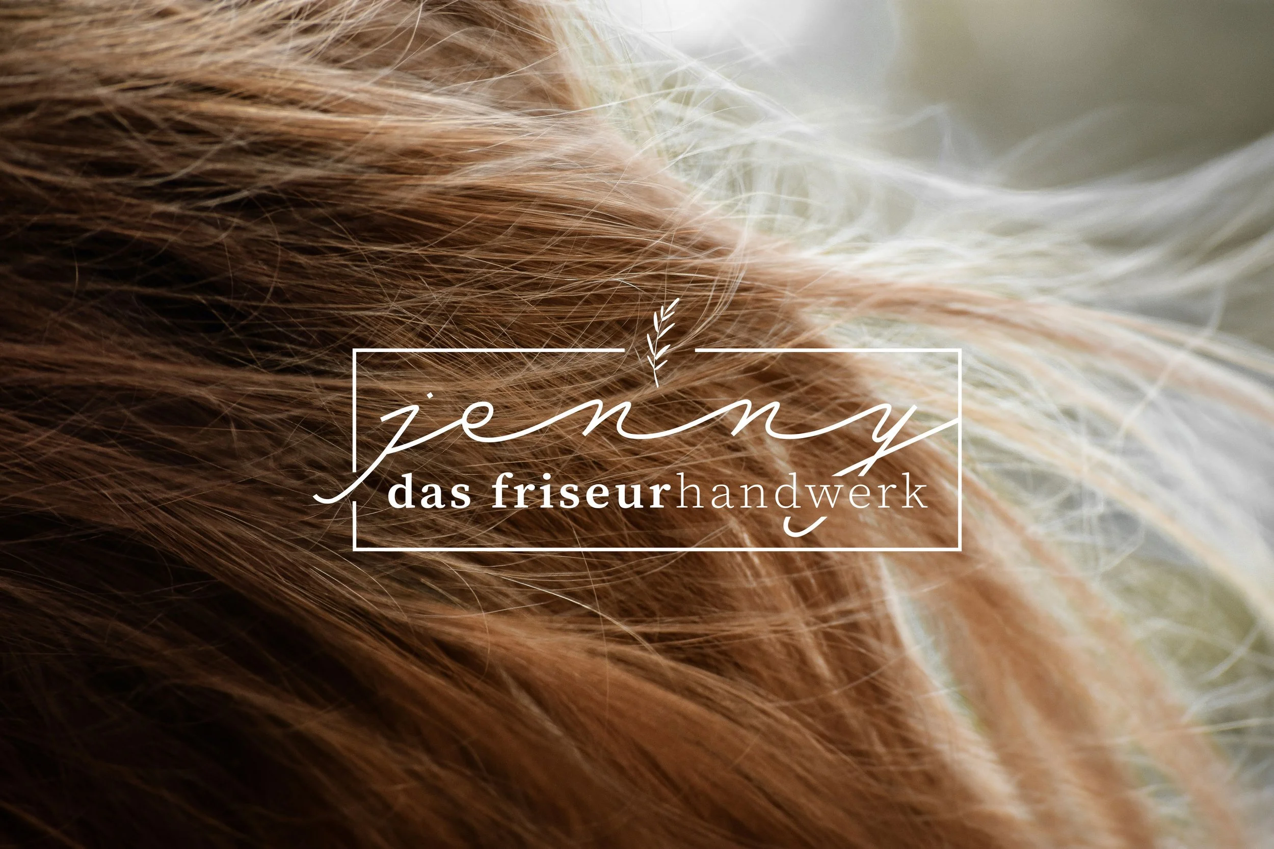 Jenny_Logo_3.jpg