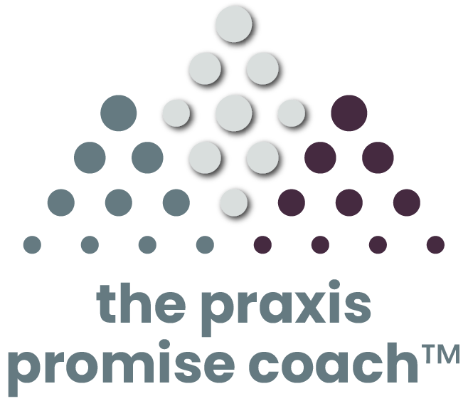 the praxis promise coach