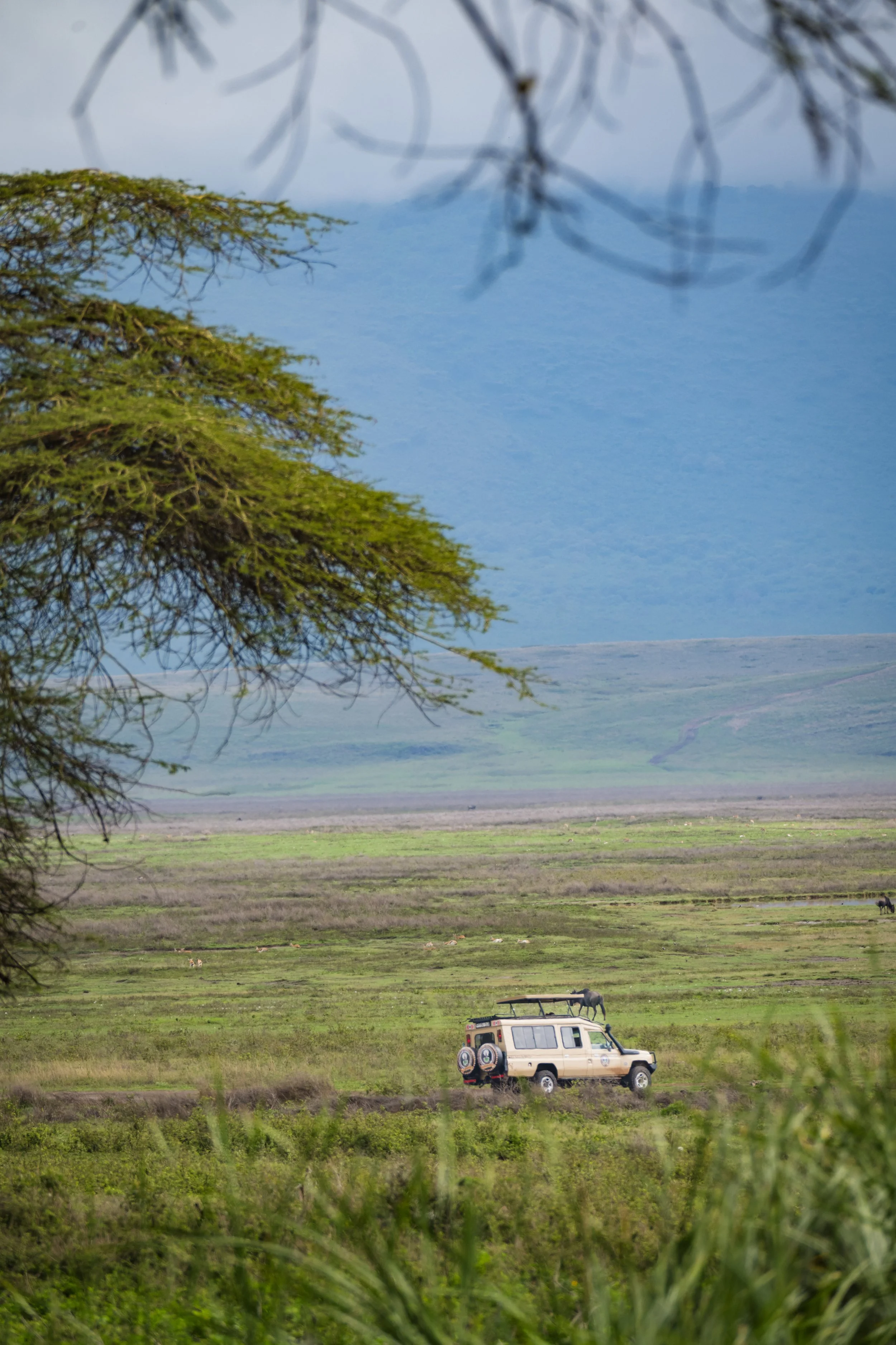 Tanzania 2024-1092.jpg