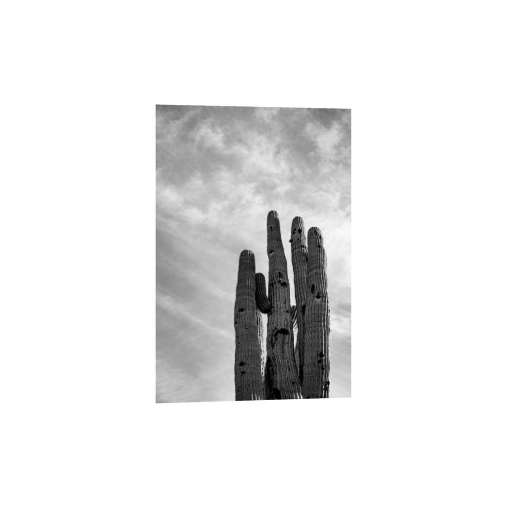 Arizona2021-0013