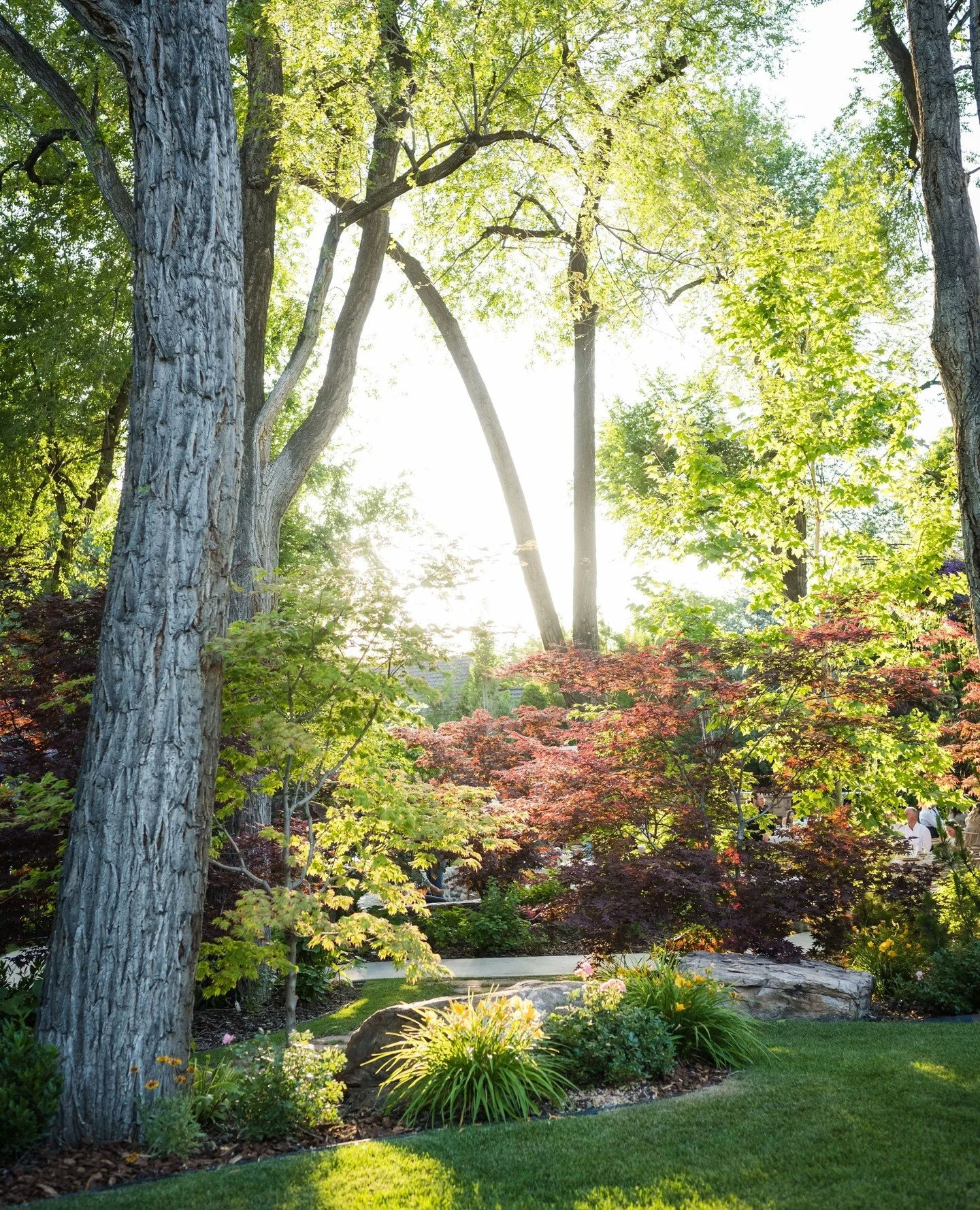 Mountain views, summer light, and a garden in full bloom.⁠
⁠
Planner &amp; Design: @irenecoevents⁠
Hair: @paulinesansom⁠
Rentals: @summitpartyrentals_ut⁠
Ceremony DJ: @powell.weddings.events @djrusspowell ⁠
Linens: @bbjlatavola ⁠
Officiant: @revanita