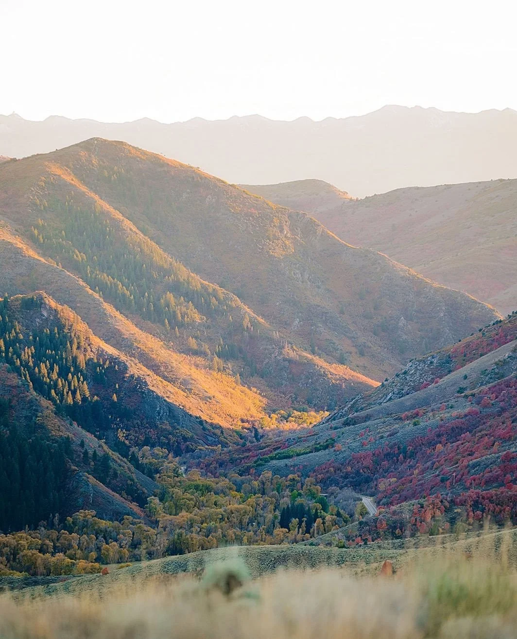 Fall in the mountains has a way of changing everything. The warm golden light, the layers of red and orange across the hills, and a bouquet that pulls those same autumn tones into every frame. It is such a short season in Utah, but when you catch it 