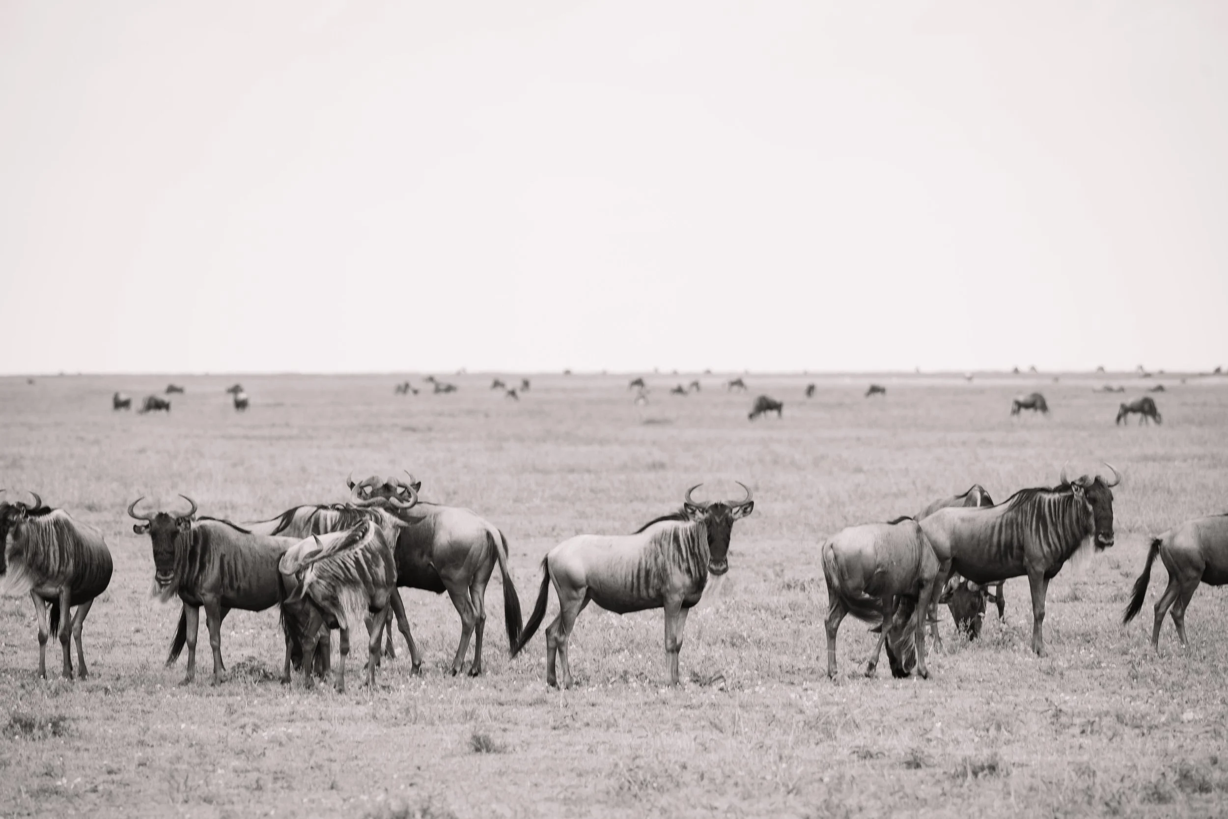 Tanzania 2024-1712.jpg