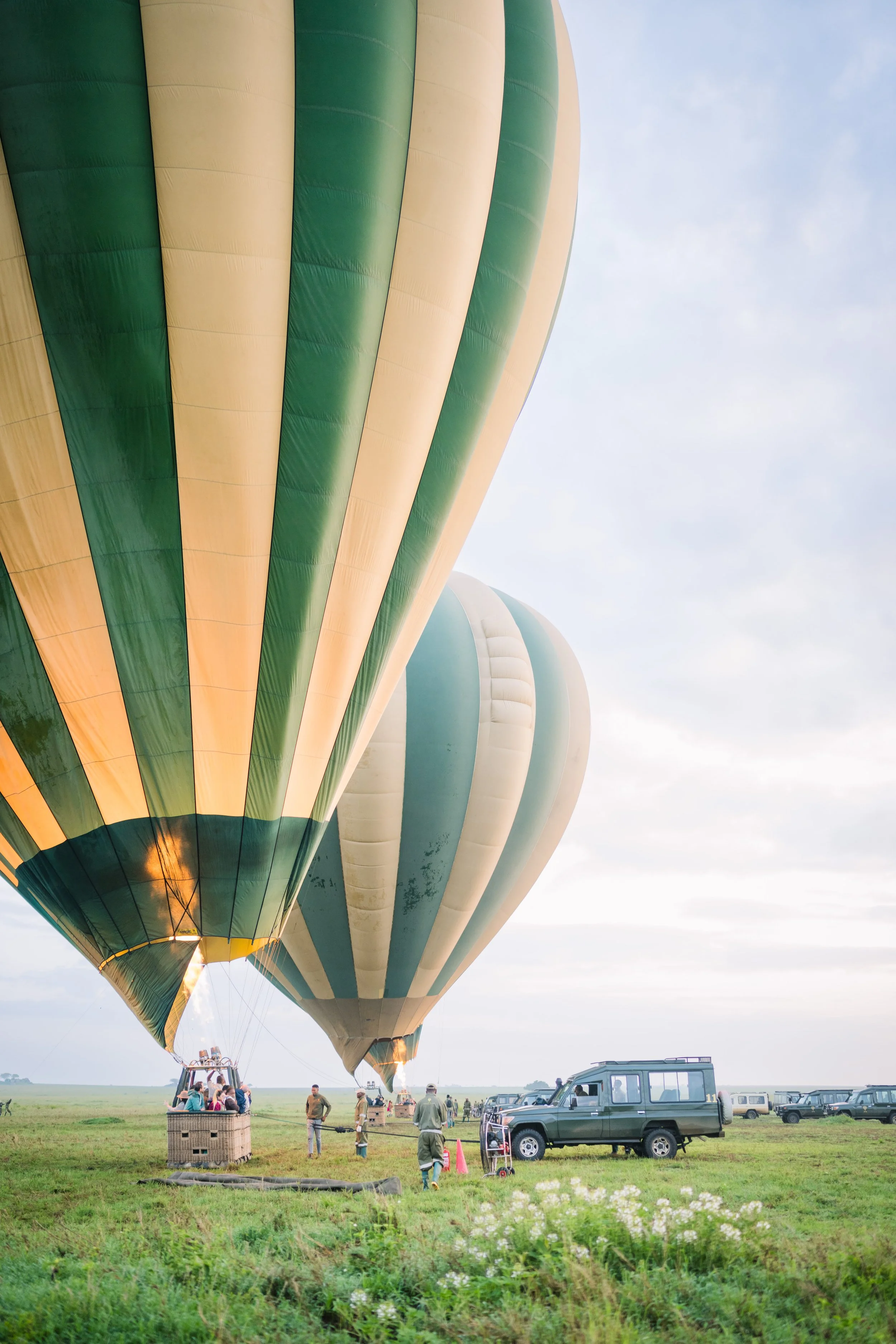 Tanzania 2024-2634.jpg