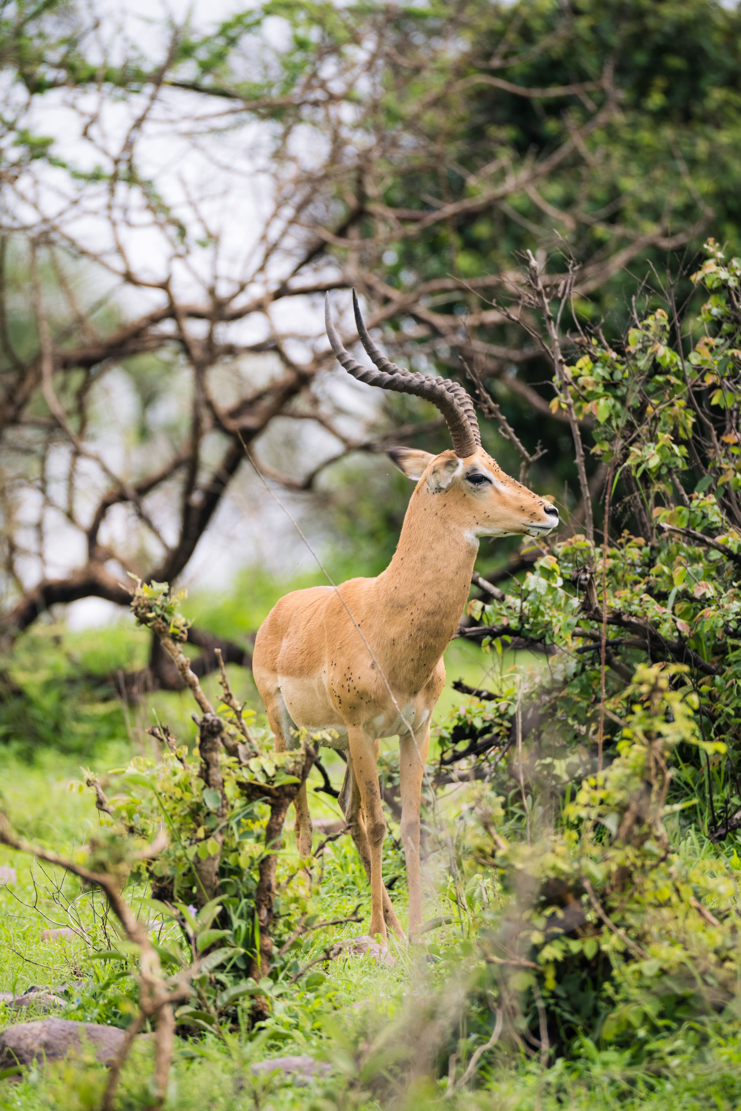 Tanzania 2024-2158.jpg