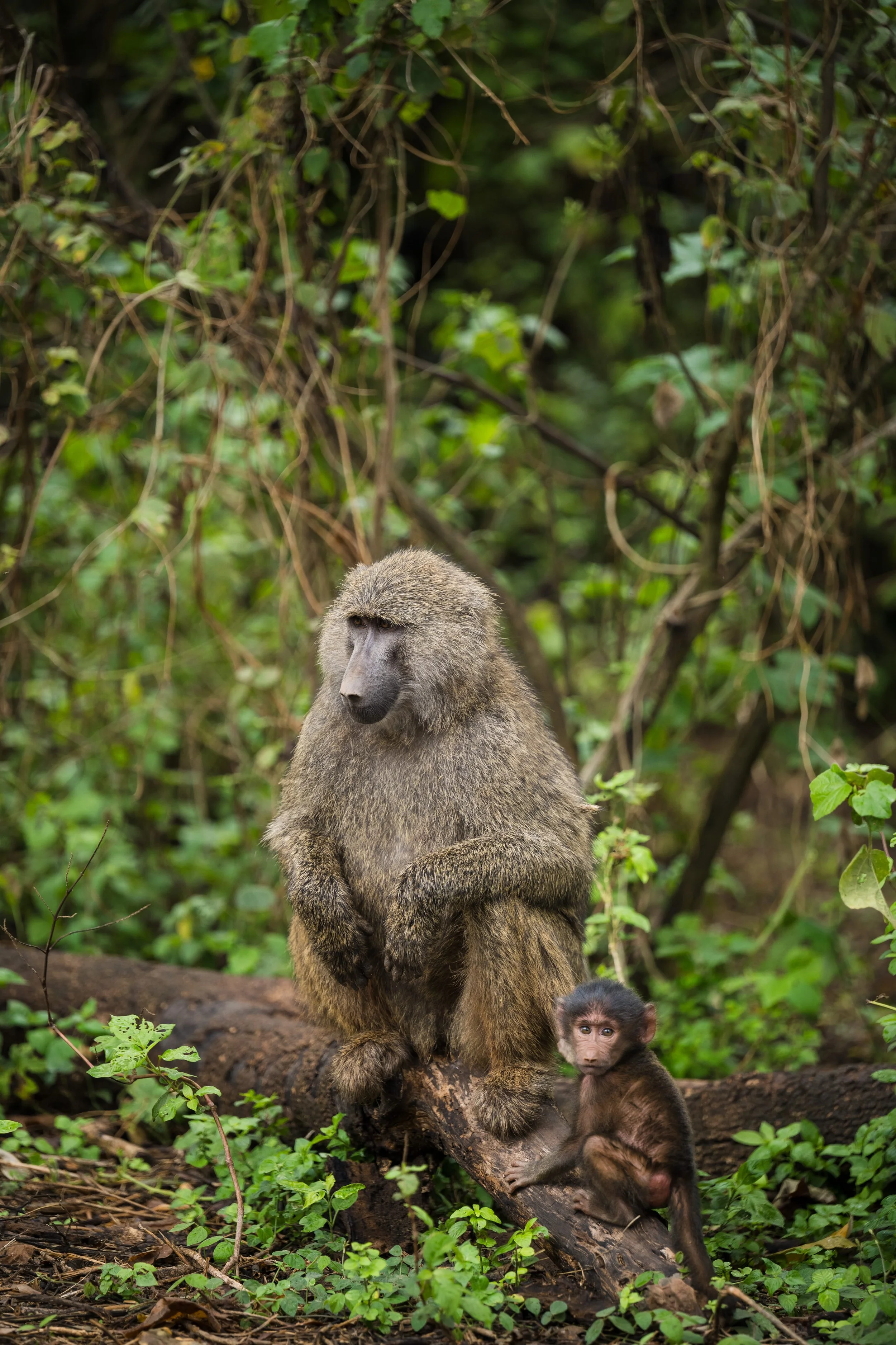 Tanzania 2024-0802.jpg