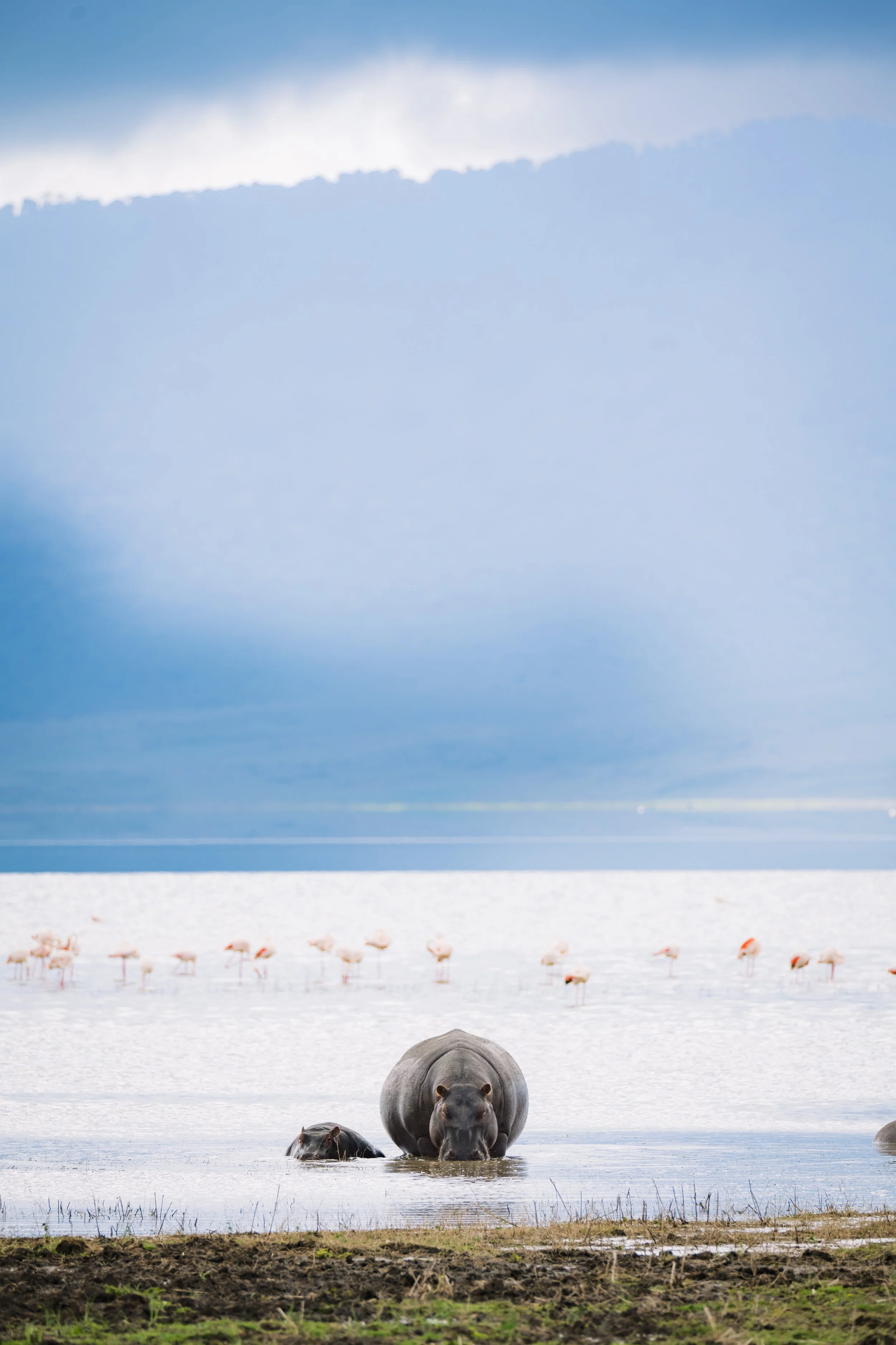 Tanzania 2024-1129.jpg