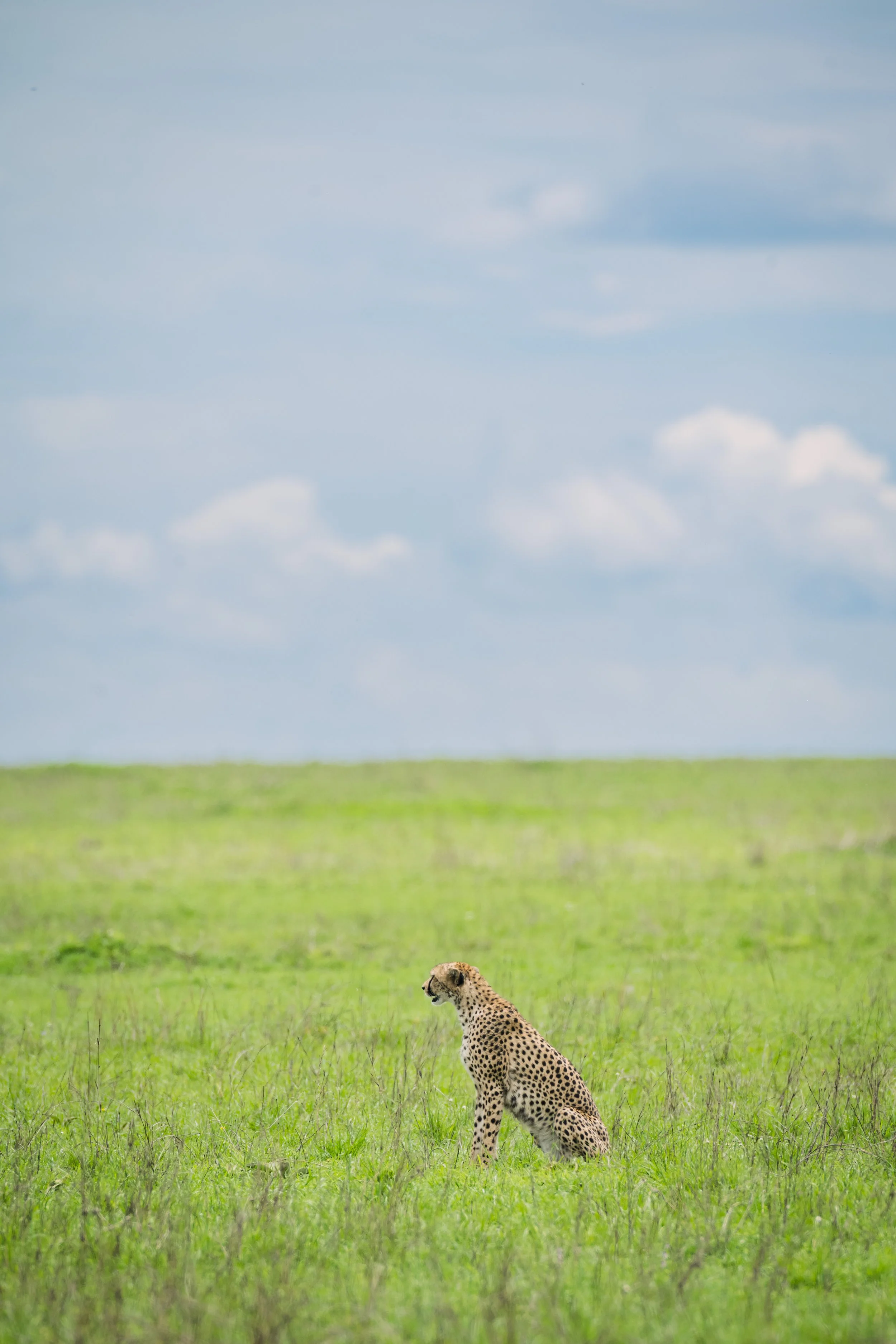 Tanzania 2024-2190.jpg