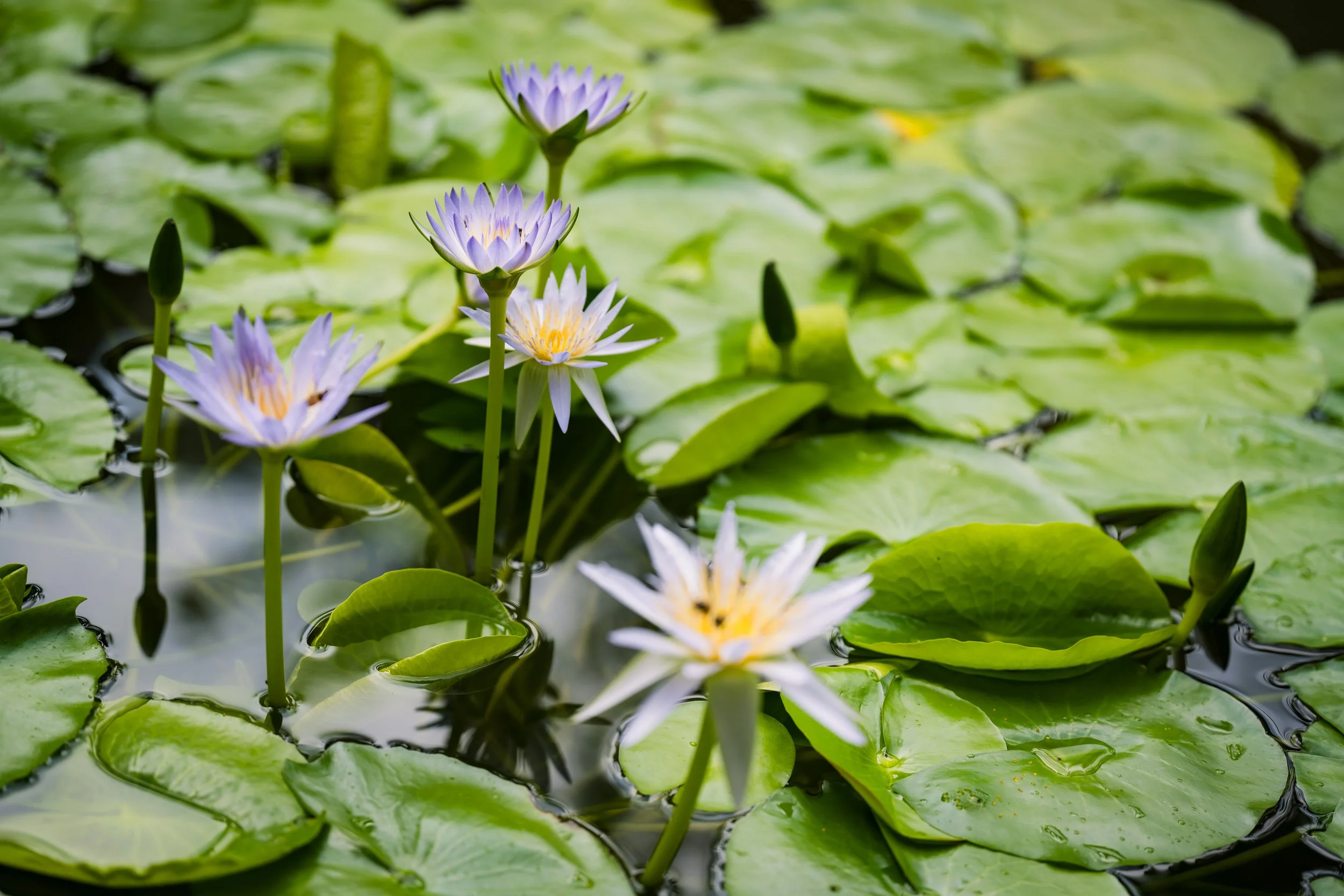 Tanzania 2024-0663.jpg