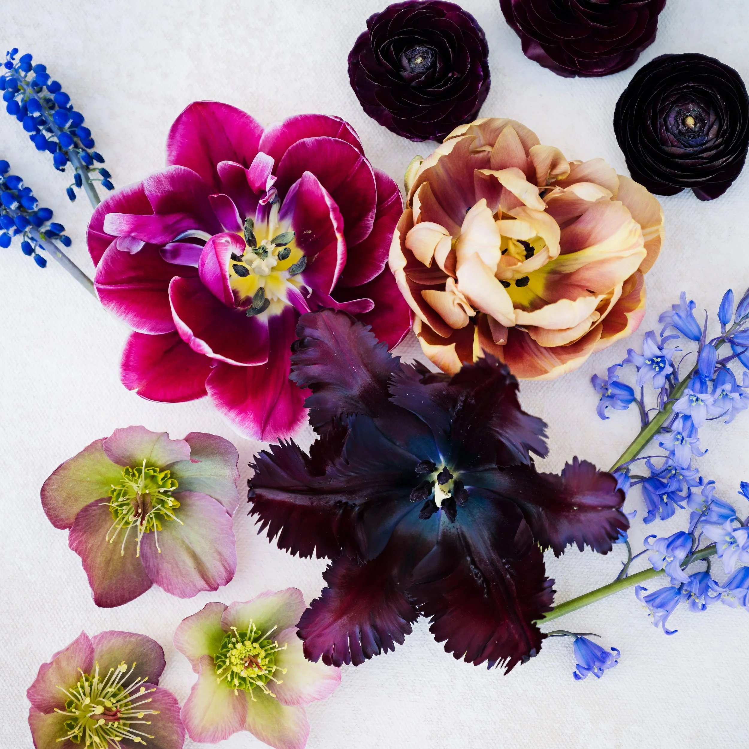 42224FlowerRecipe-0002 copy.jpg