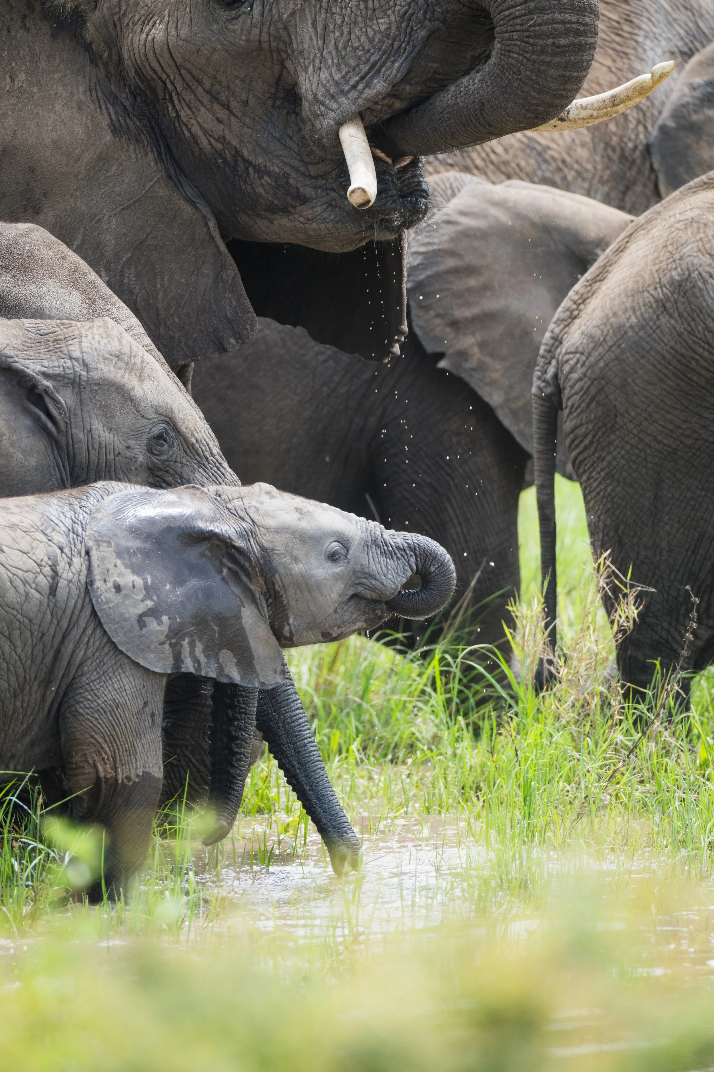 Tanzania 2024-2749.jpg