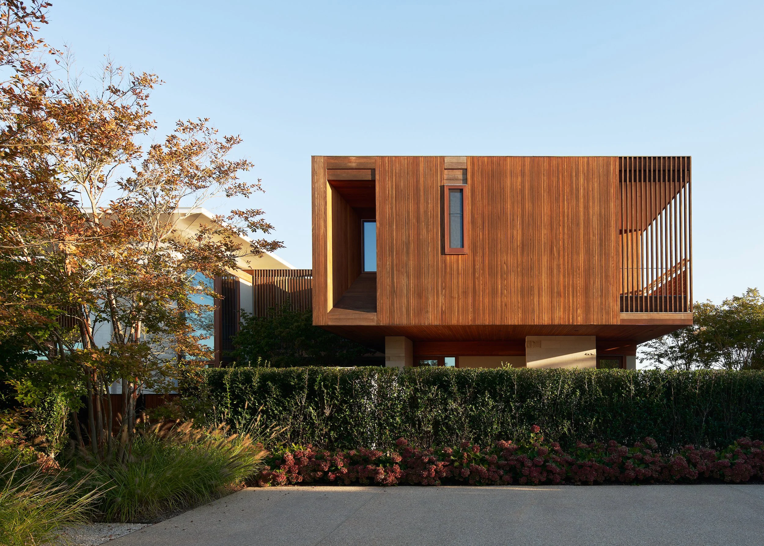 (c) Kevin Scott - DSC00795.jpg.jpg