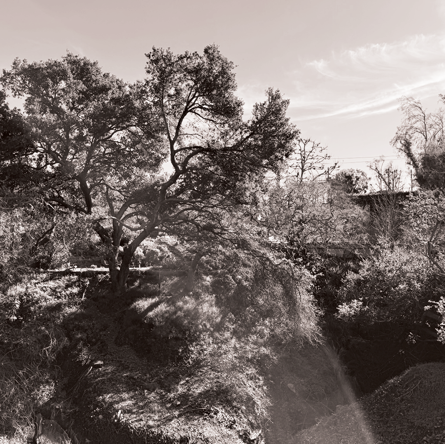 PALISADES - SITE.png