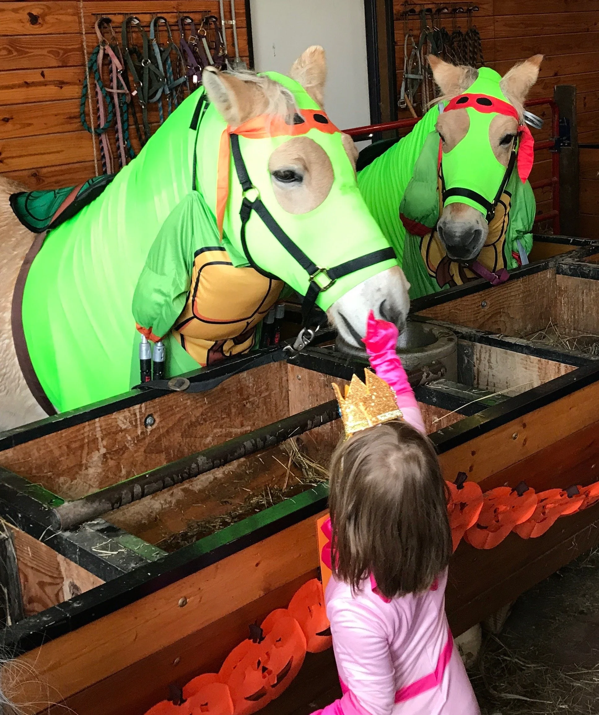 19th Annual Halloween Trick-or-Treating Event