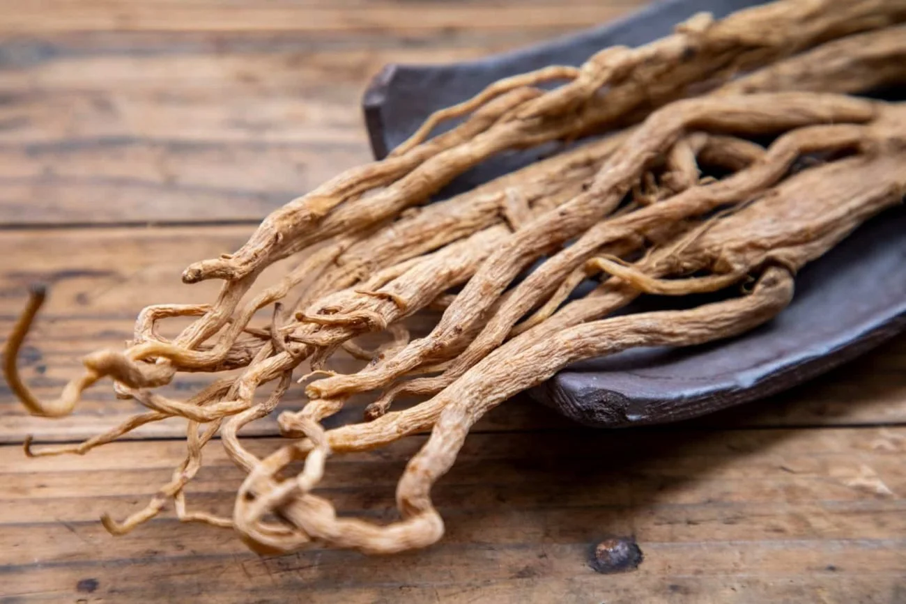 Radix-angelicae-sinensis-dang-gui-root-scaled-1300x867.jpg