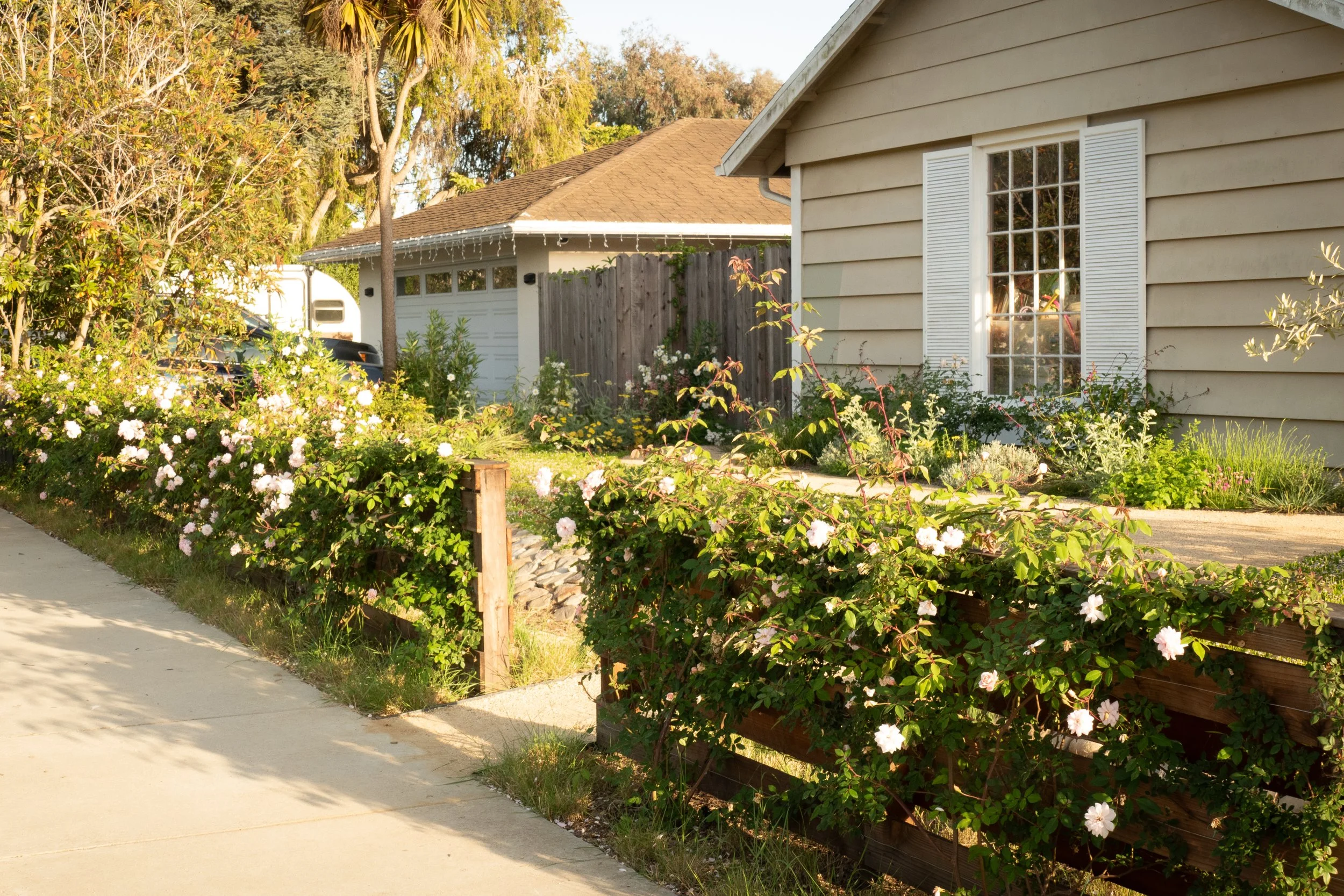 cottage landscape  design .jpg