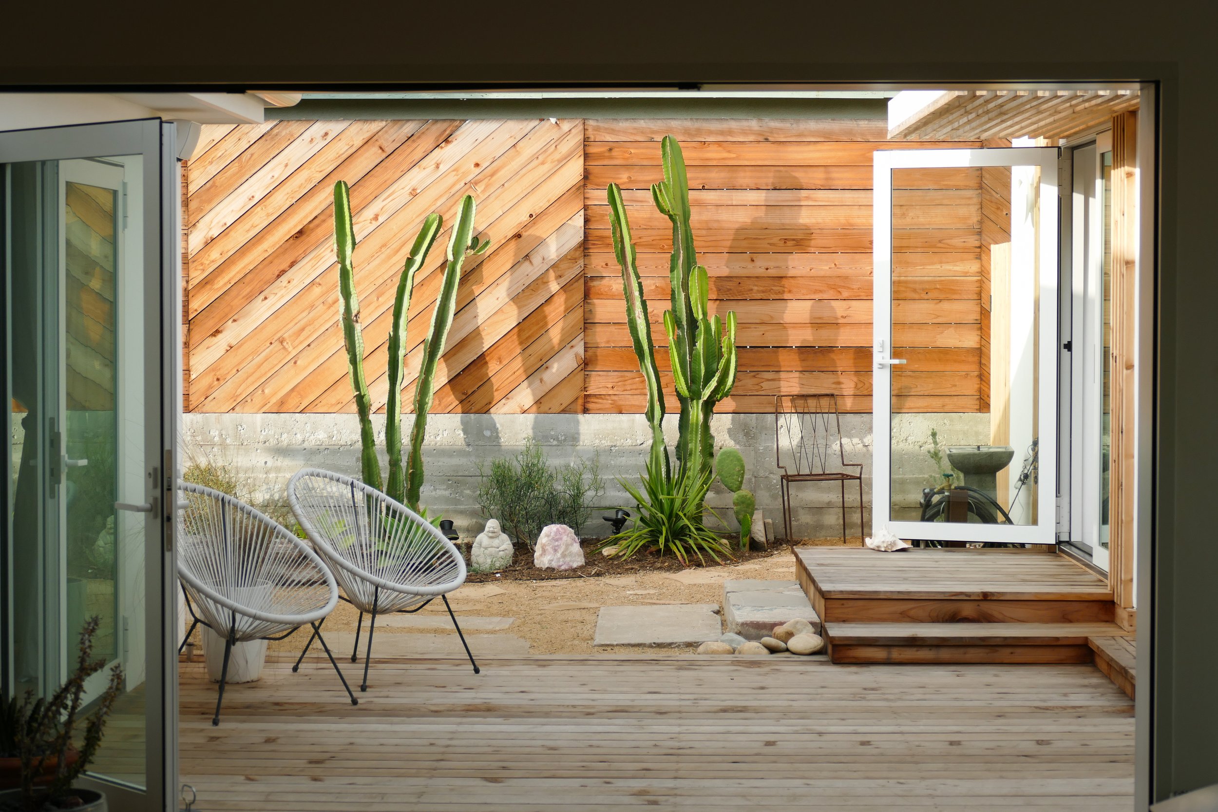 drought tolerant contemporary back yard