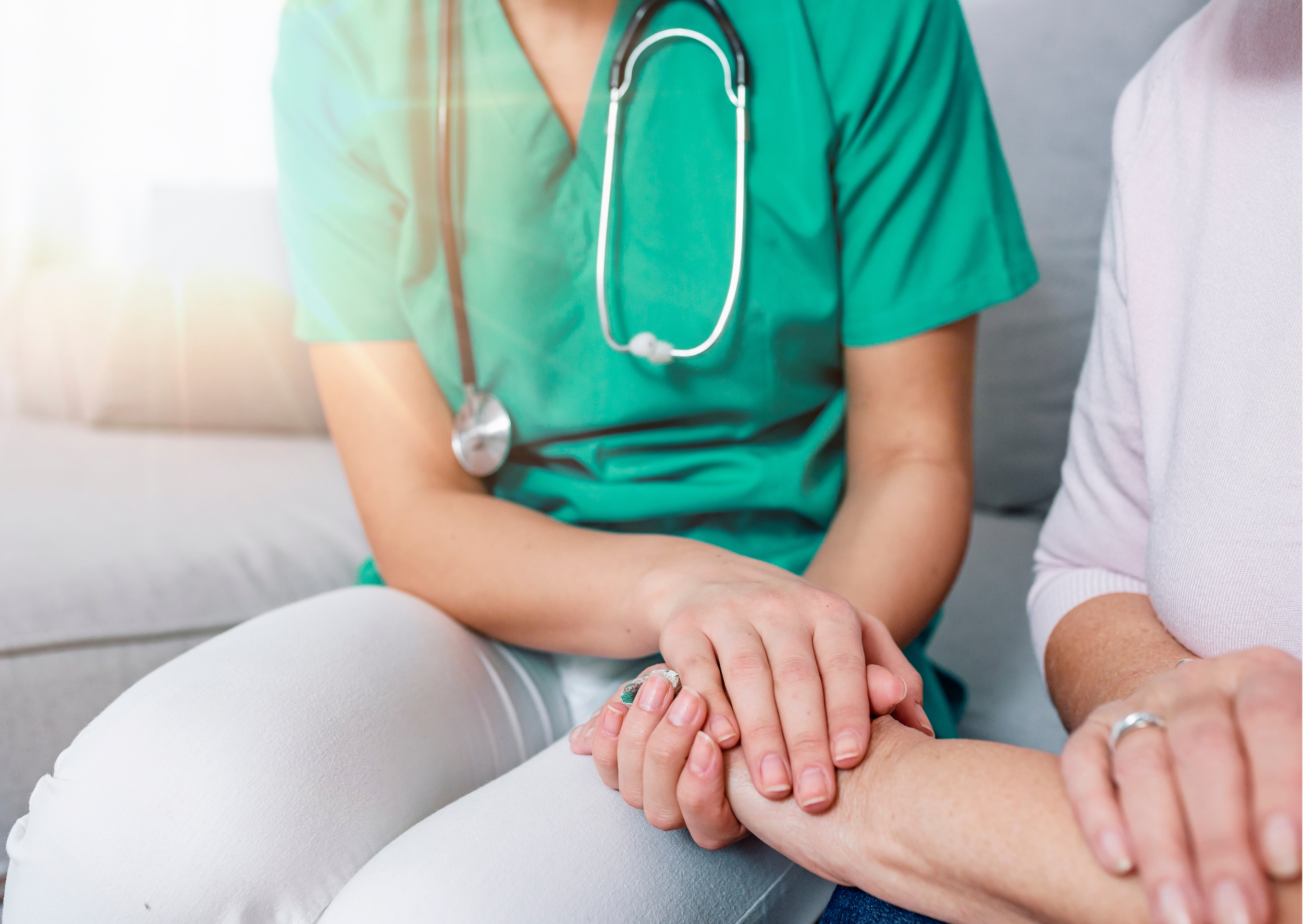 Services — BioTech X-ray Inc.