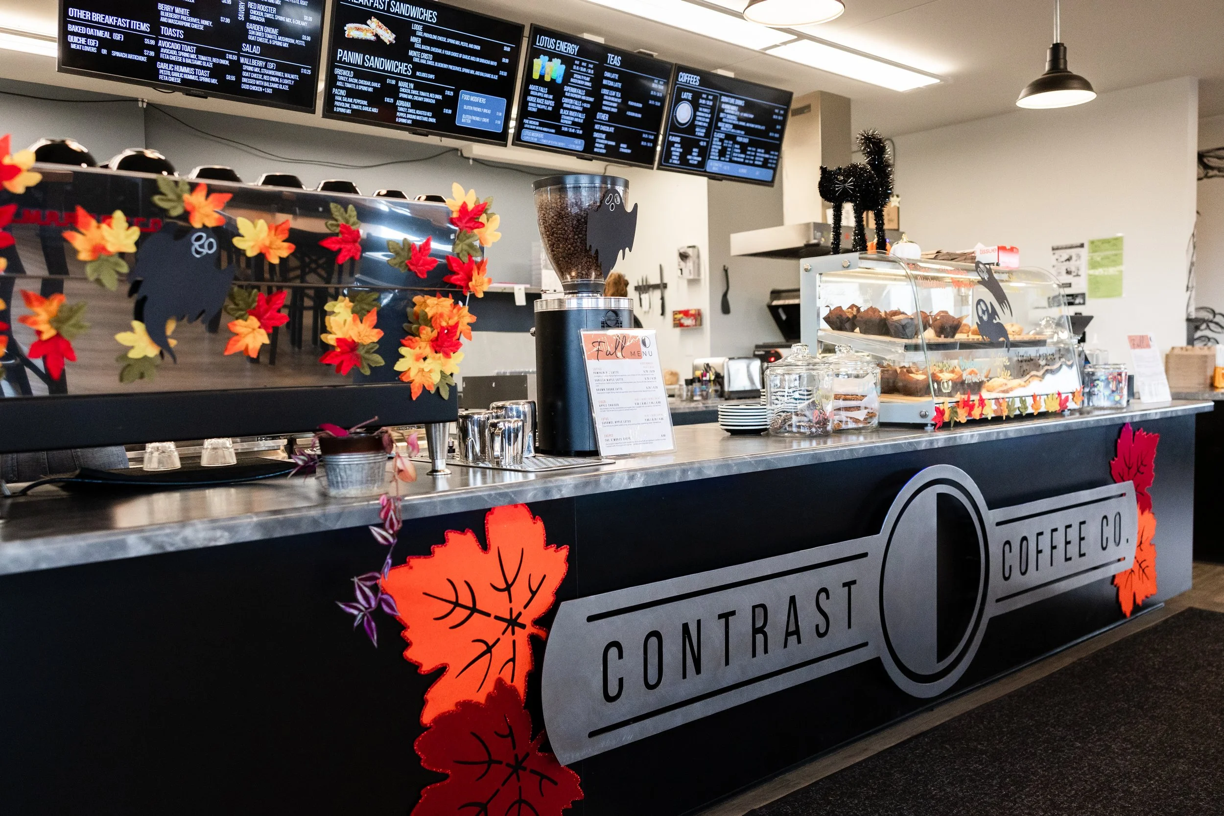 241030 Contrast_-23.JPG