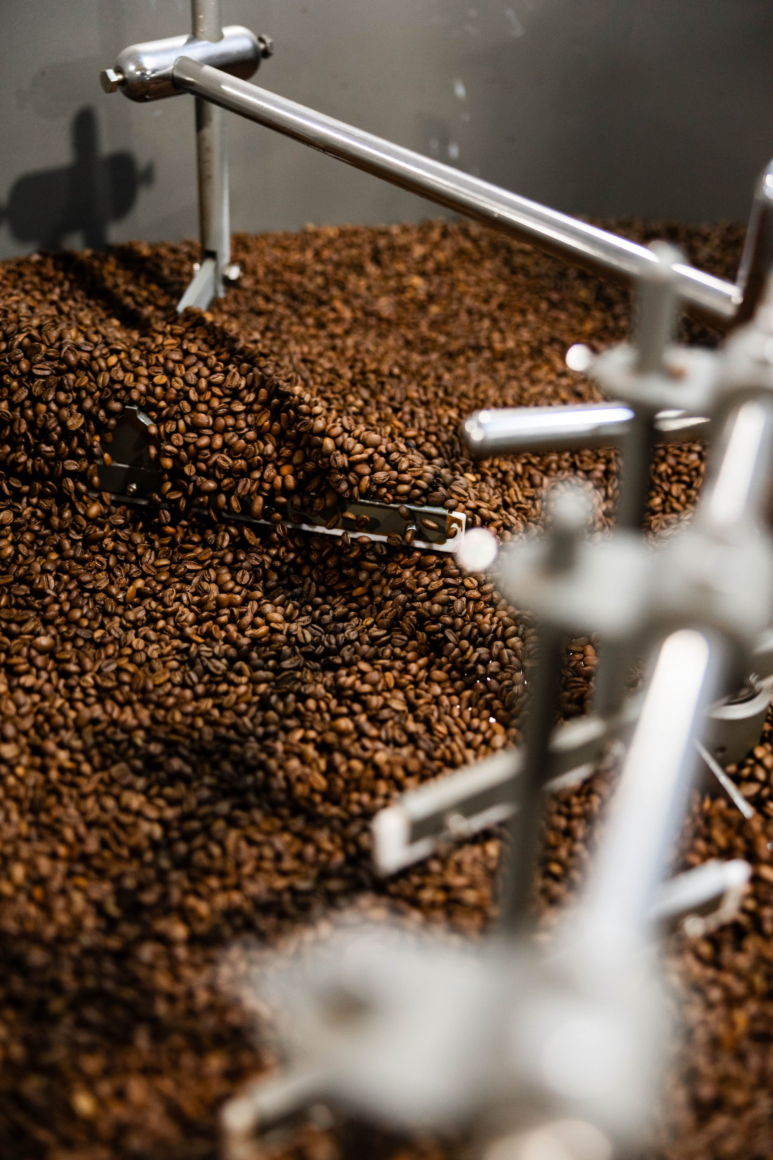 241201 Contrast DEC-82.JPEG