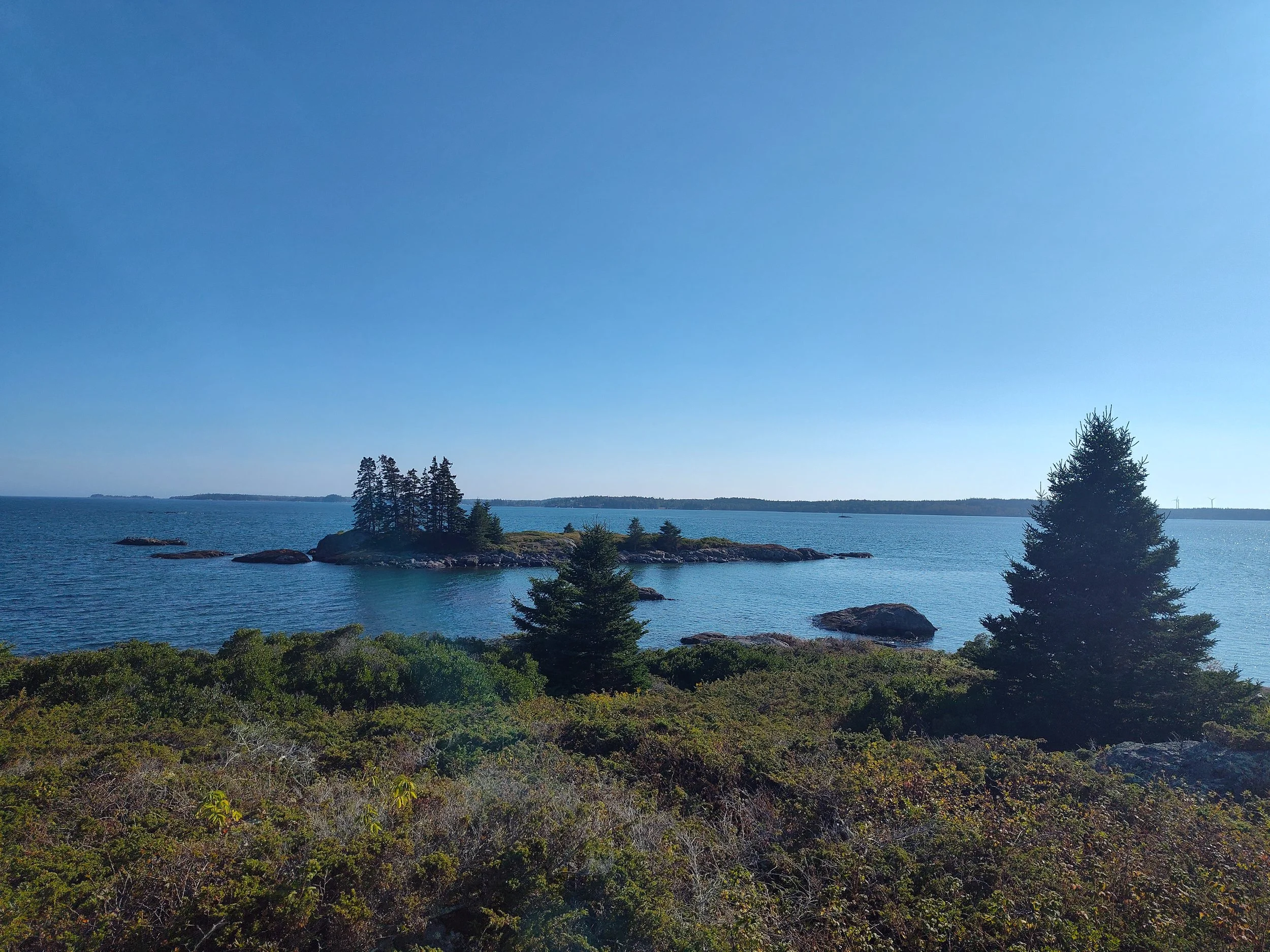 IMG_20250914_160800223_HDR.jpg