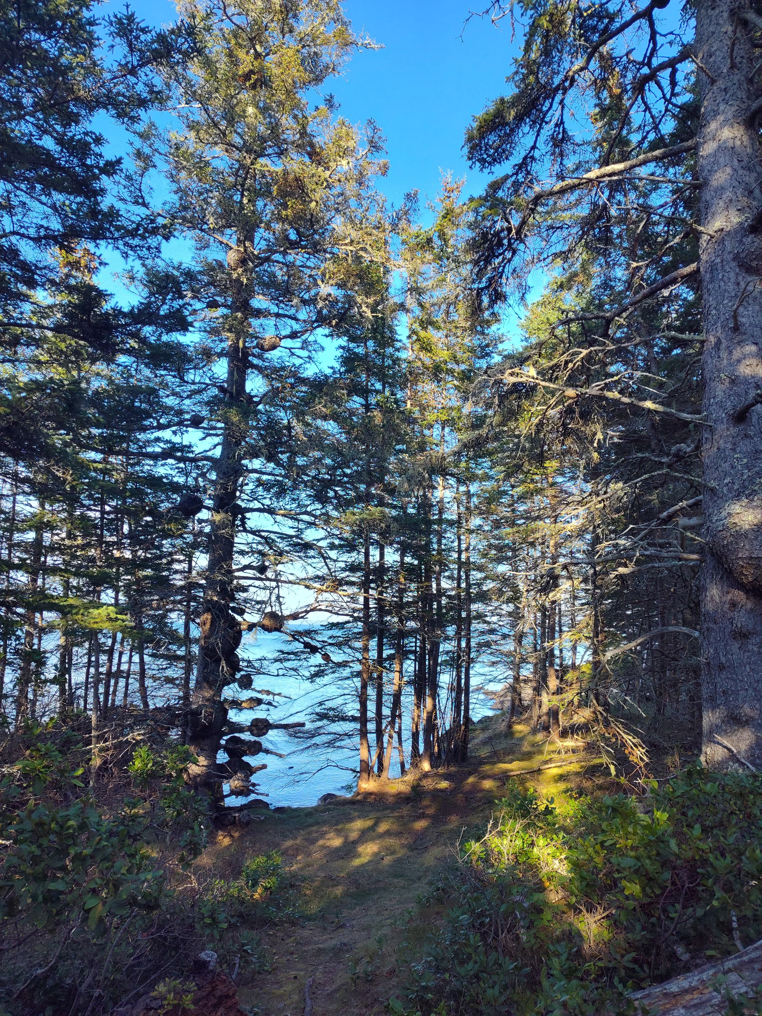 IMG_20250914_164102863_HDR.jpg