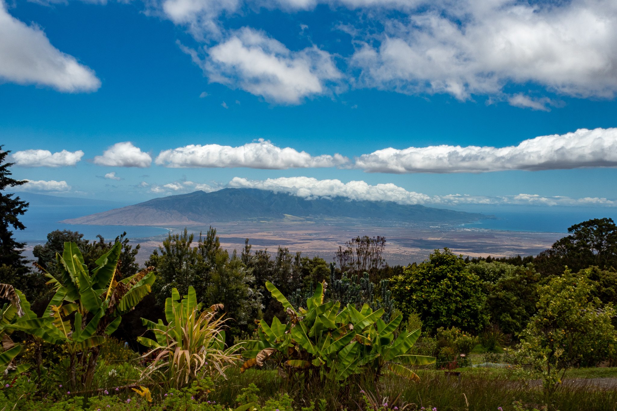 Edges of Maui.jpg