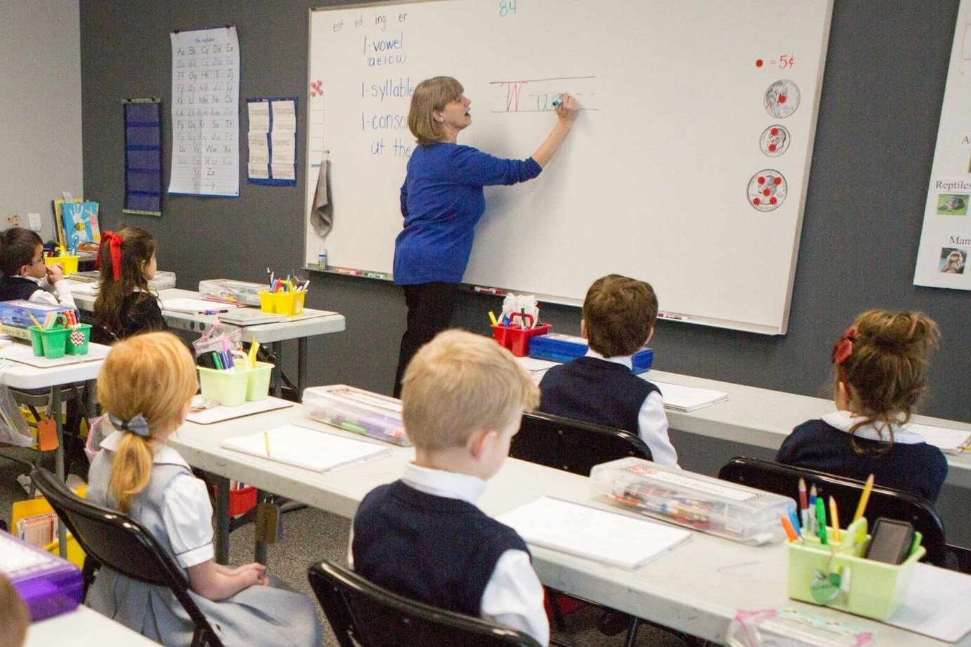 LLS_Teaching_CD17.jpg