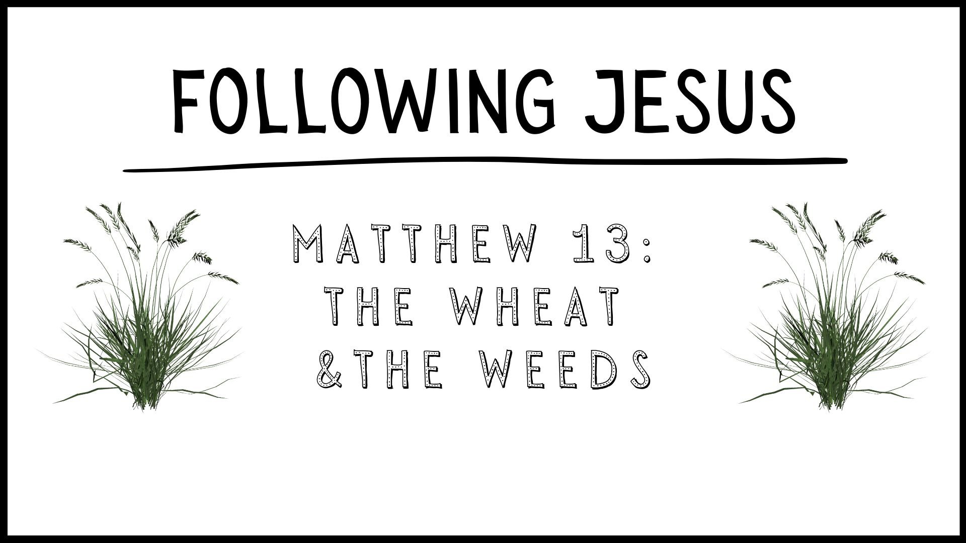 Matthew 13: The Wheat and the Weeds