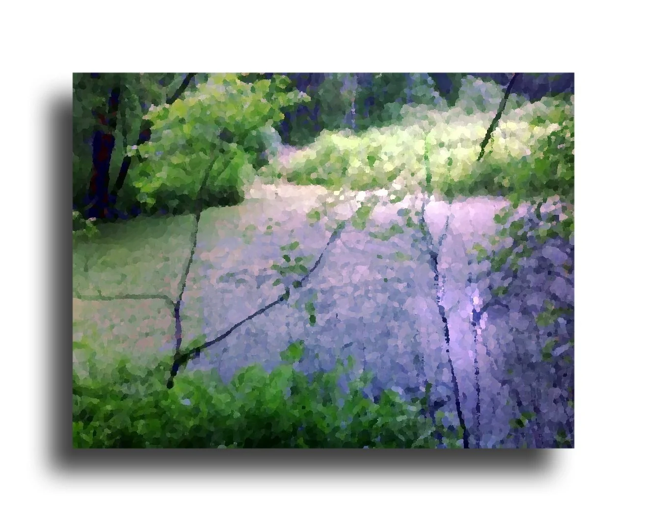 Mill River a Gallery View.jpg
