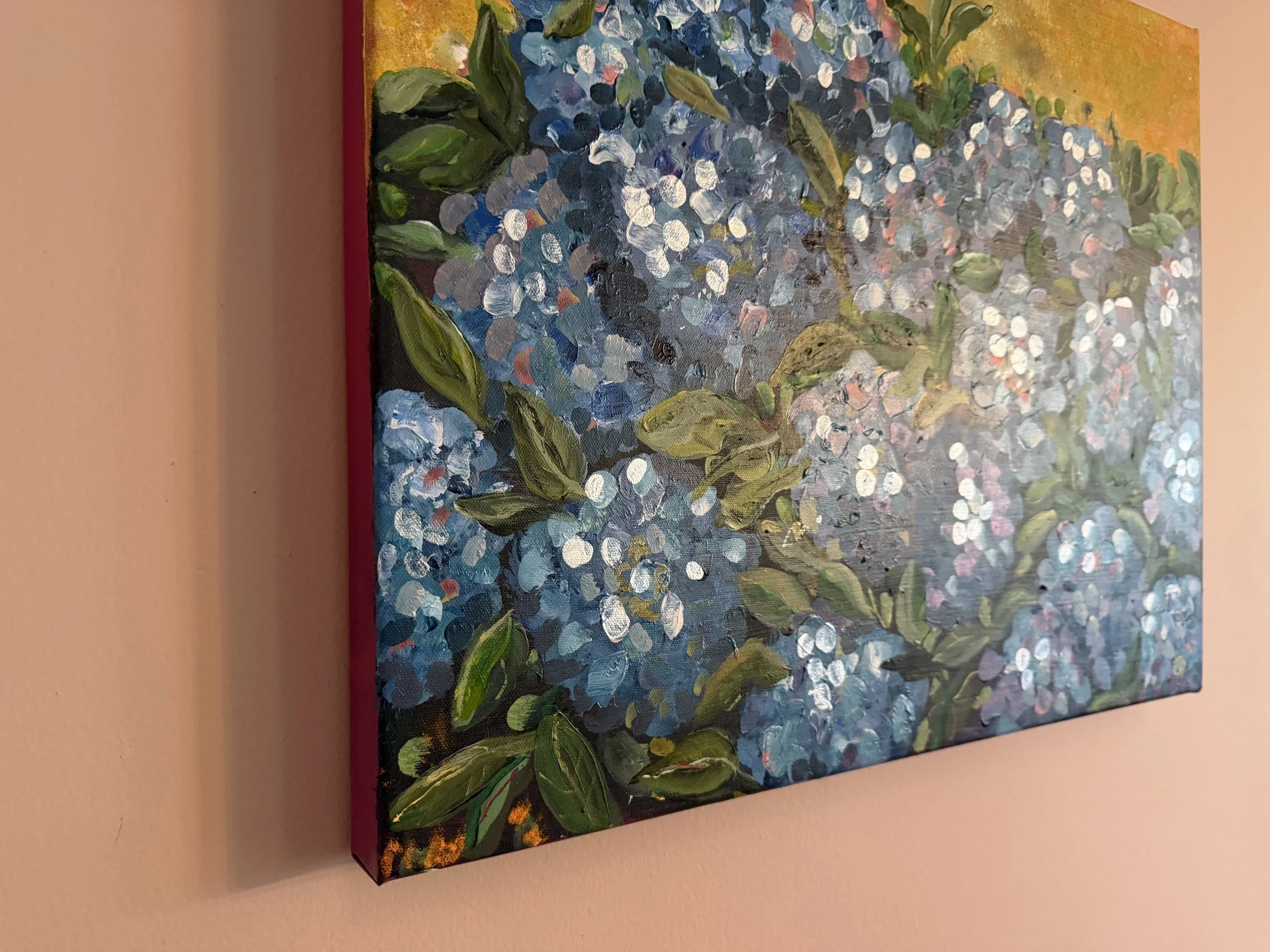 Blue Hydrangeas Cat Savage View 2.JPG