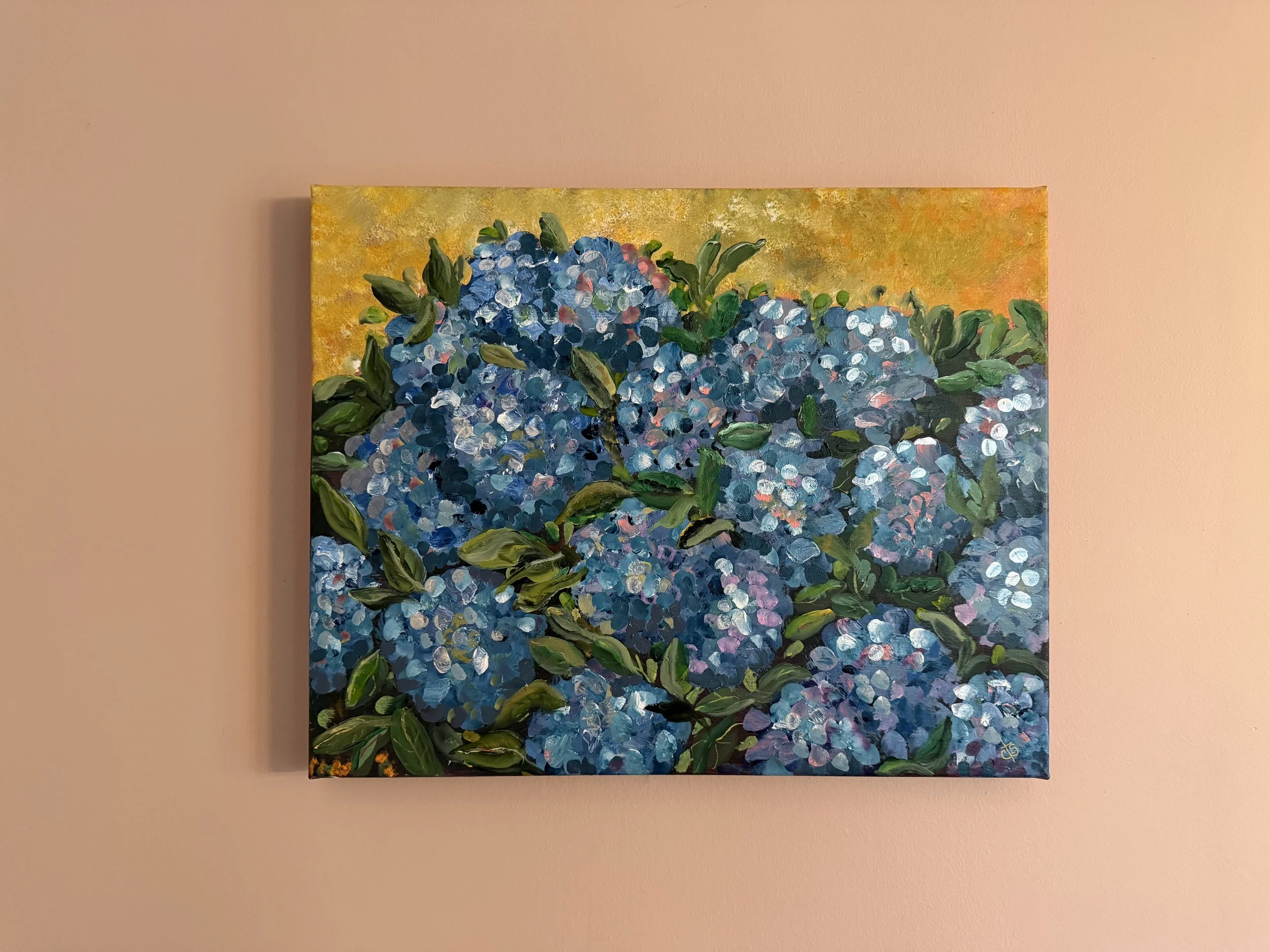Blue Hydrangeas Cat Savage View 1.JPG