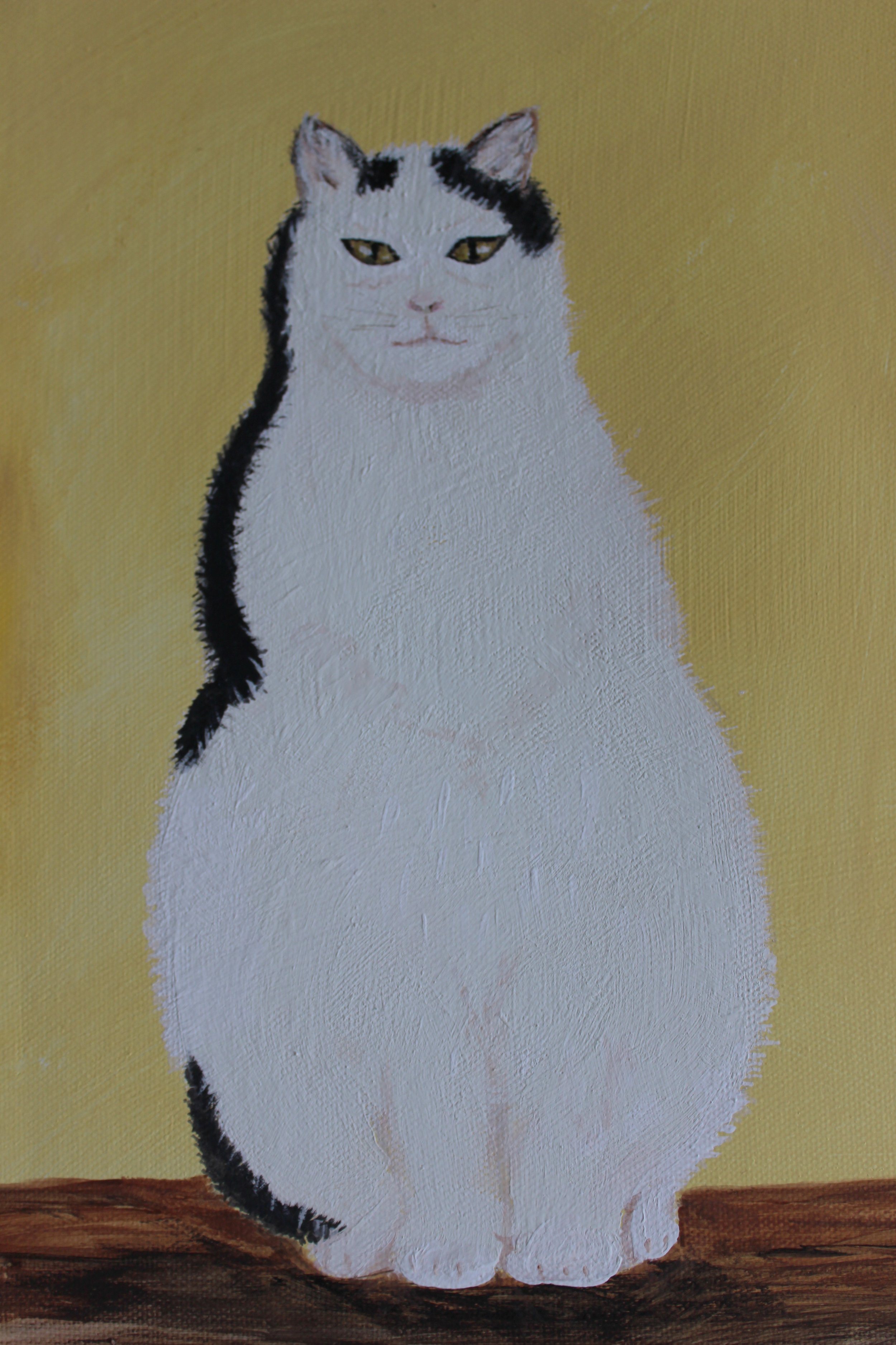 SOLD: Jimmy the Cat