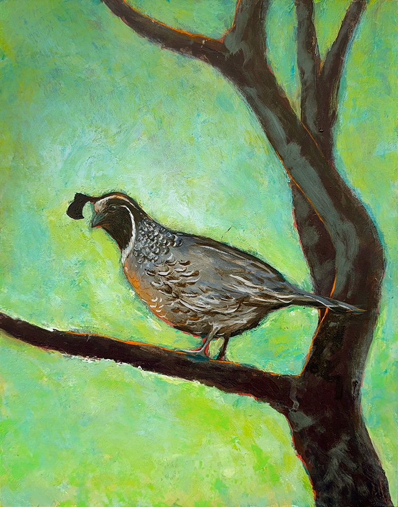 Quail