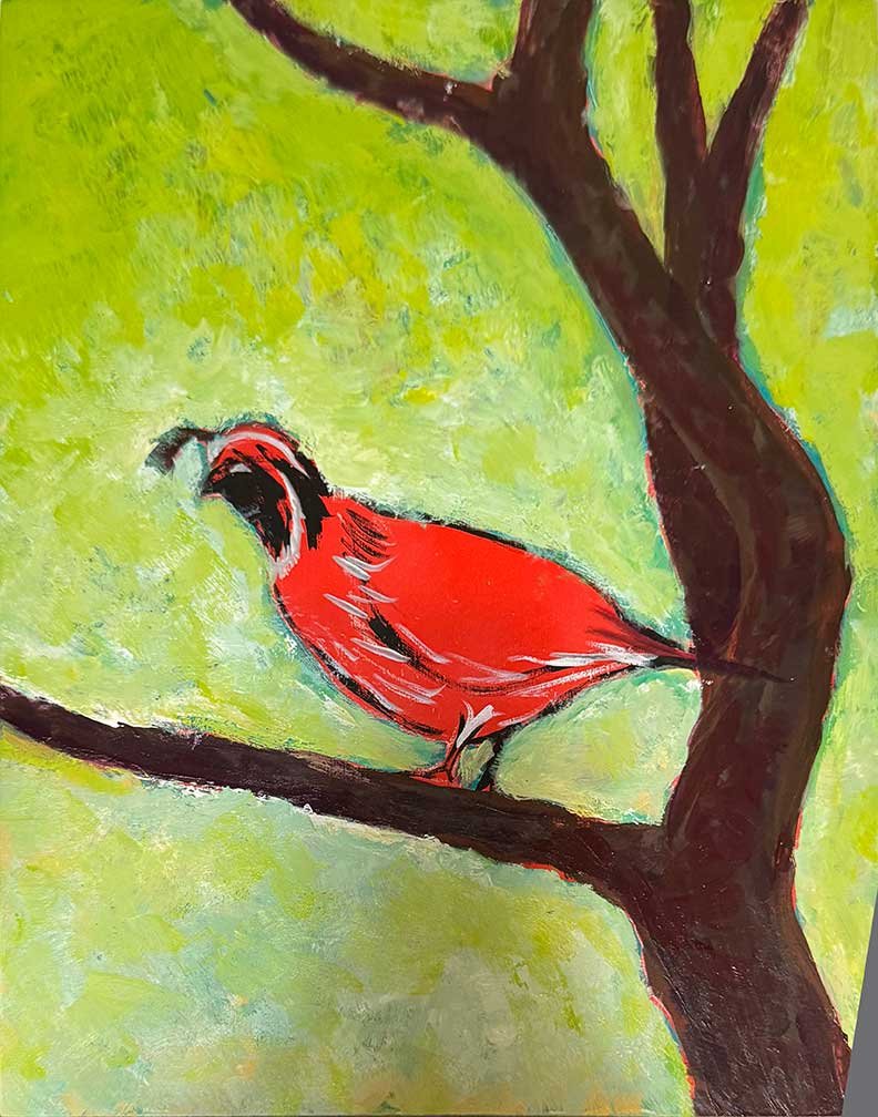 Quail